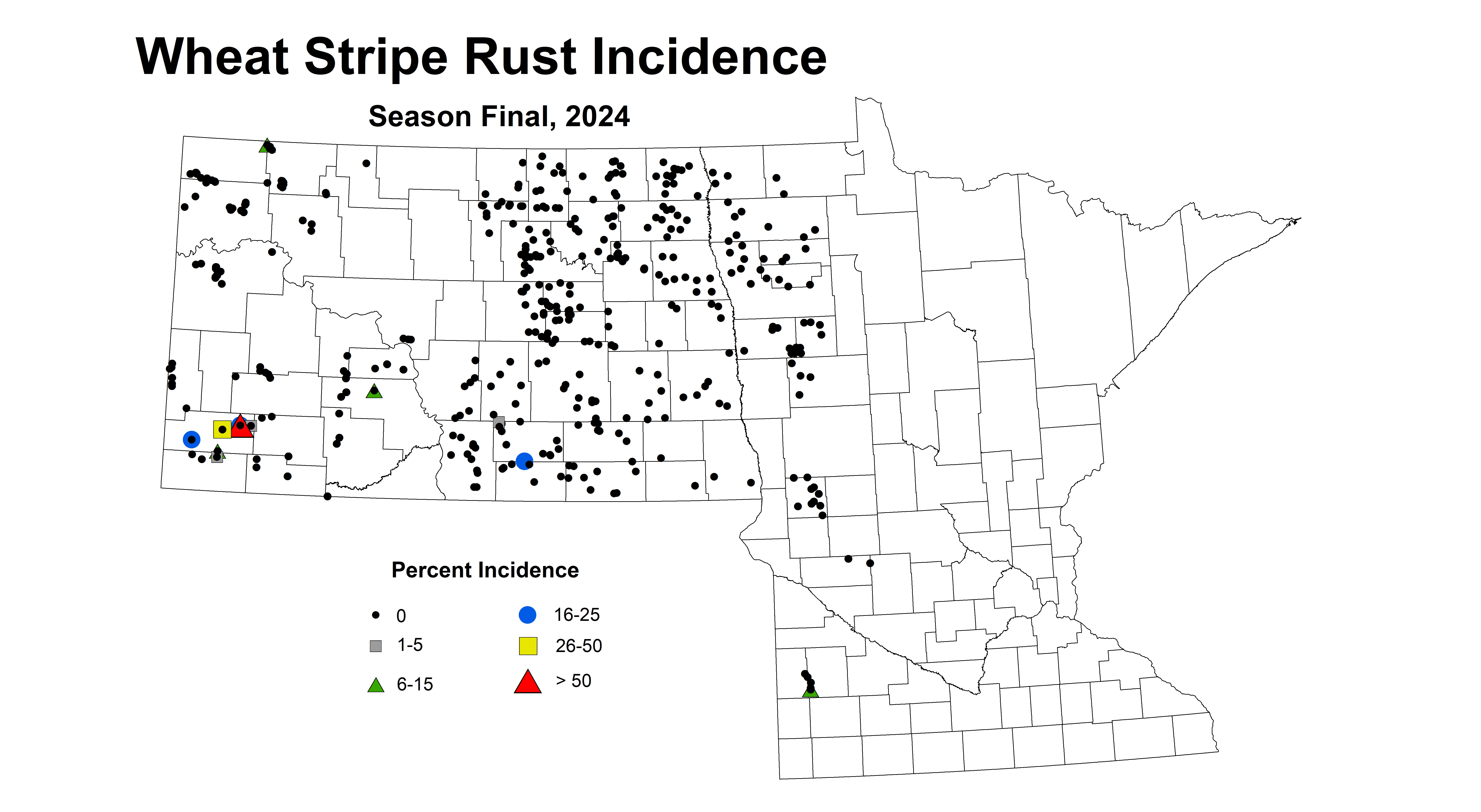 Wheat stripe rust incidence Season Final 2024