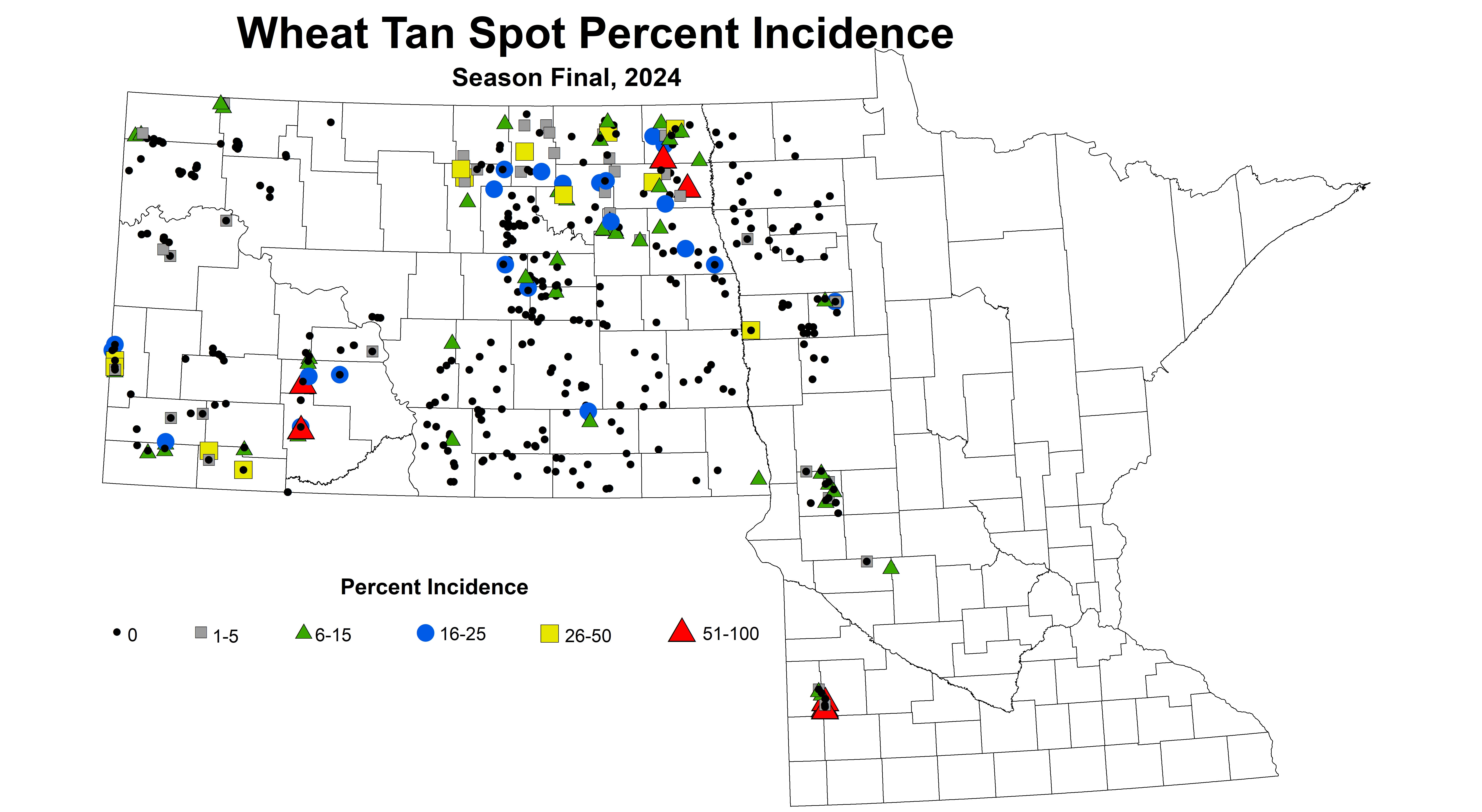 Wheat tan spot incidence Season Final 2024