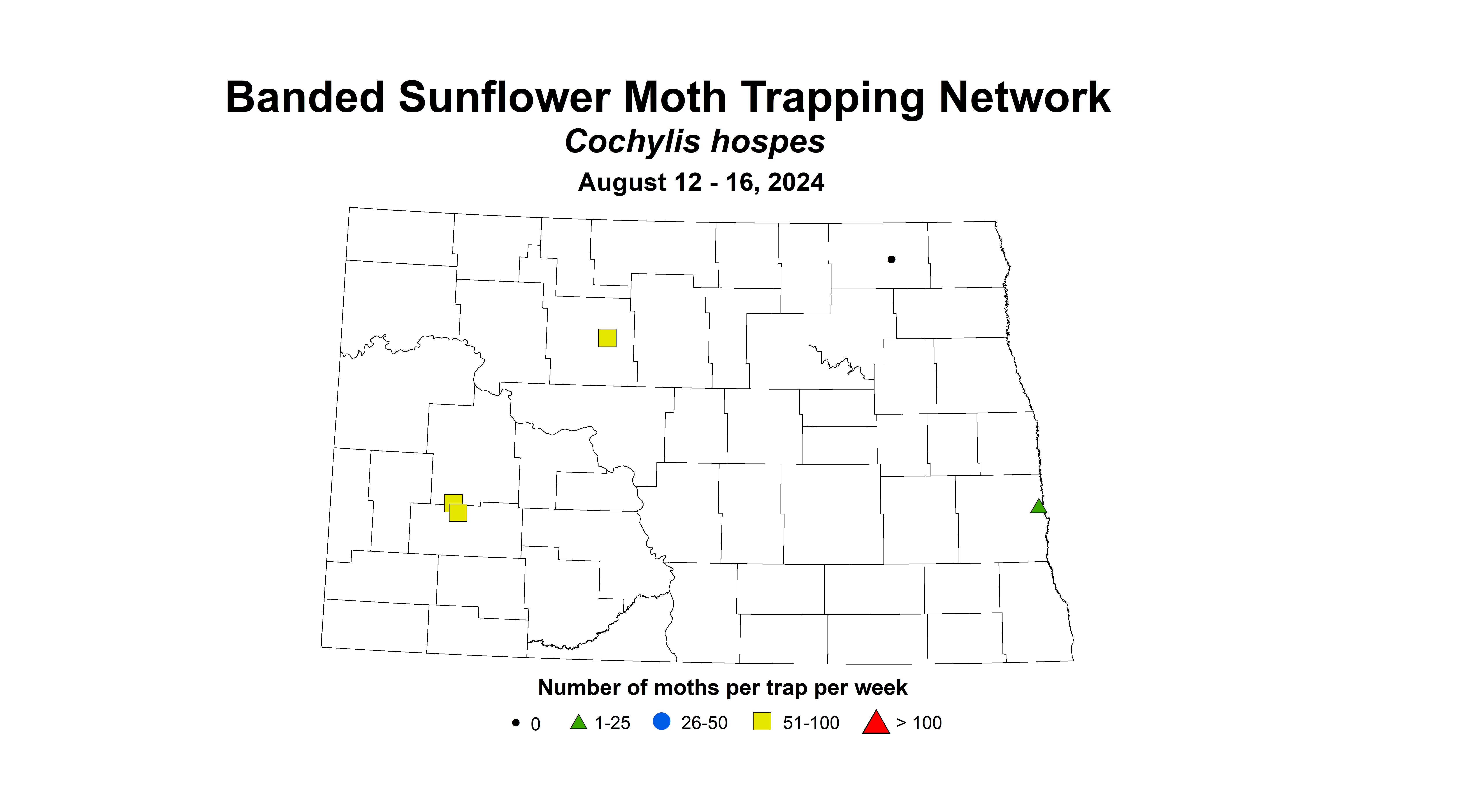 banded sunflower moth August 12-16 2024