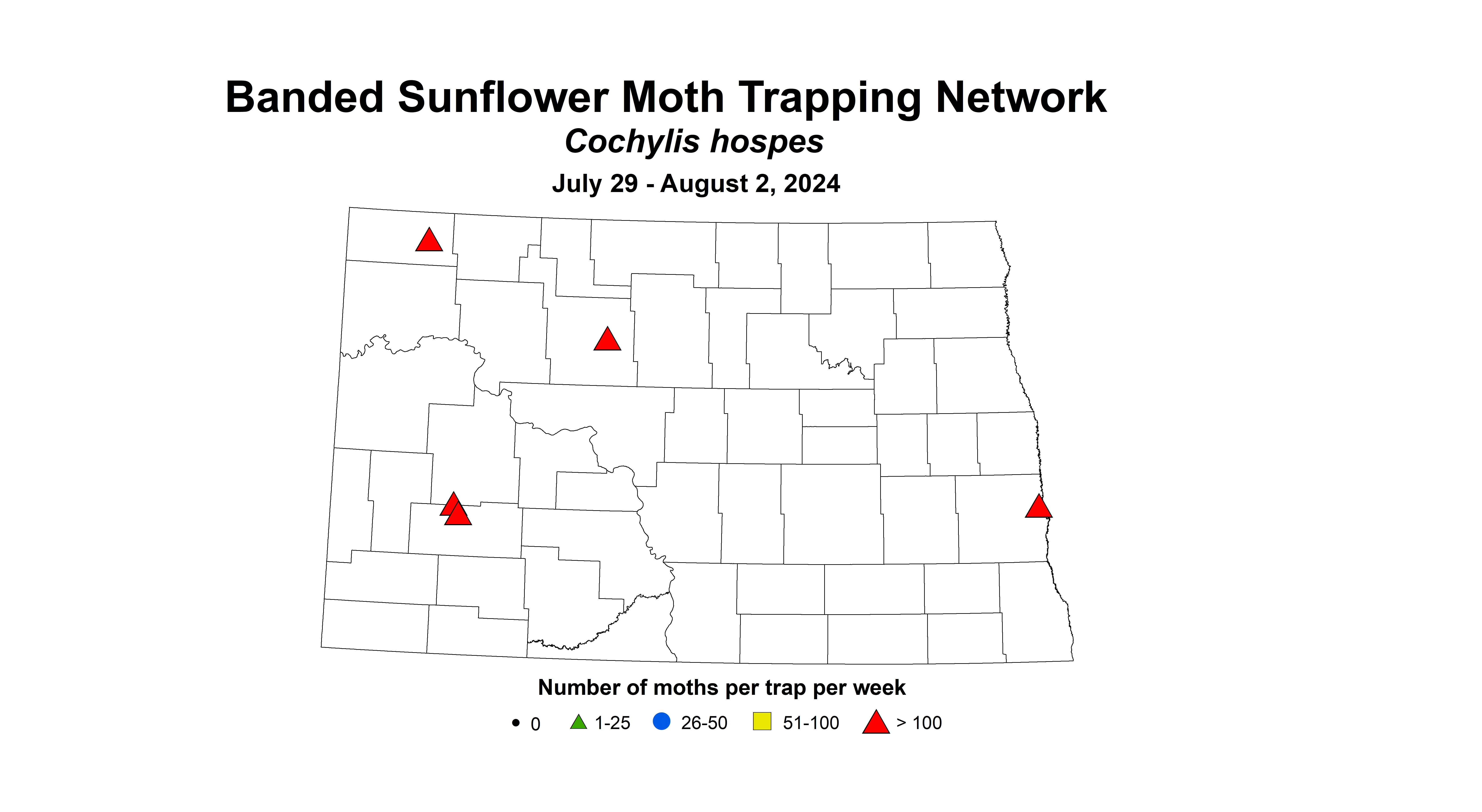 banded sunflower moth July 29 - August 2 2024