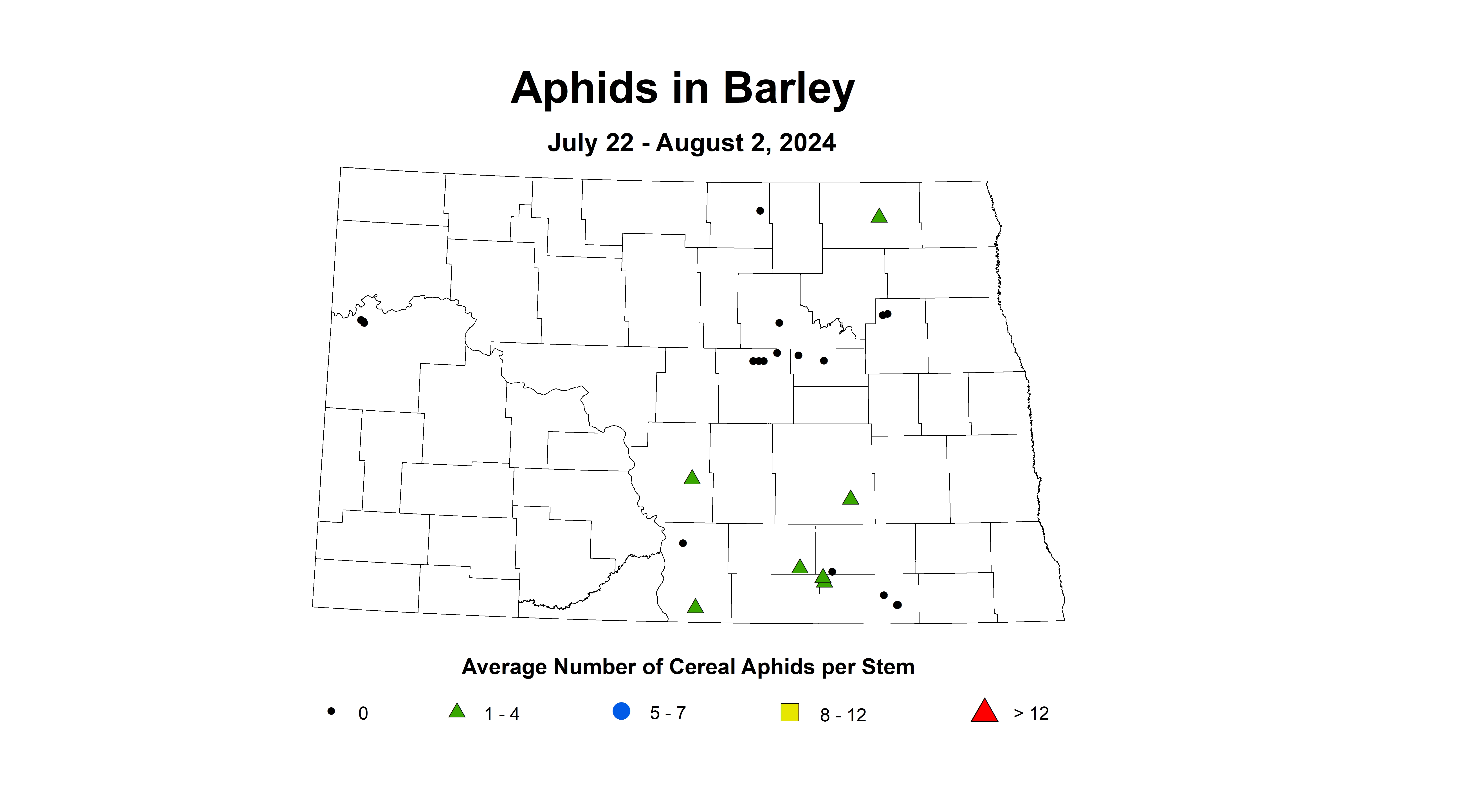 barley aphid July 22 - August 2 2024