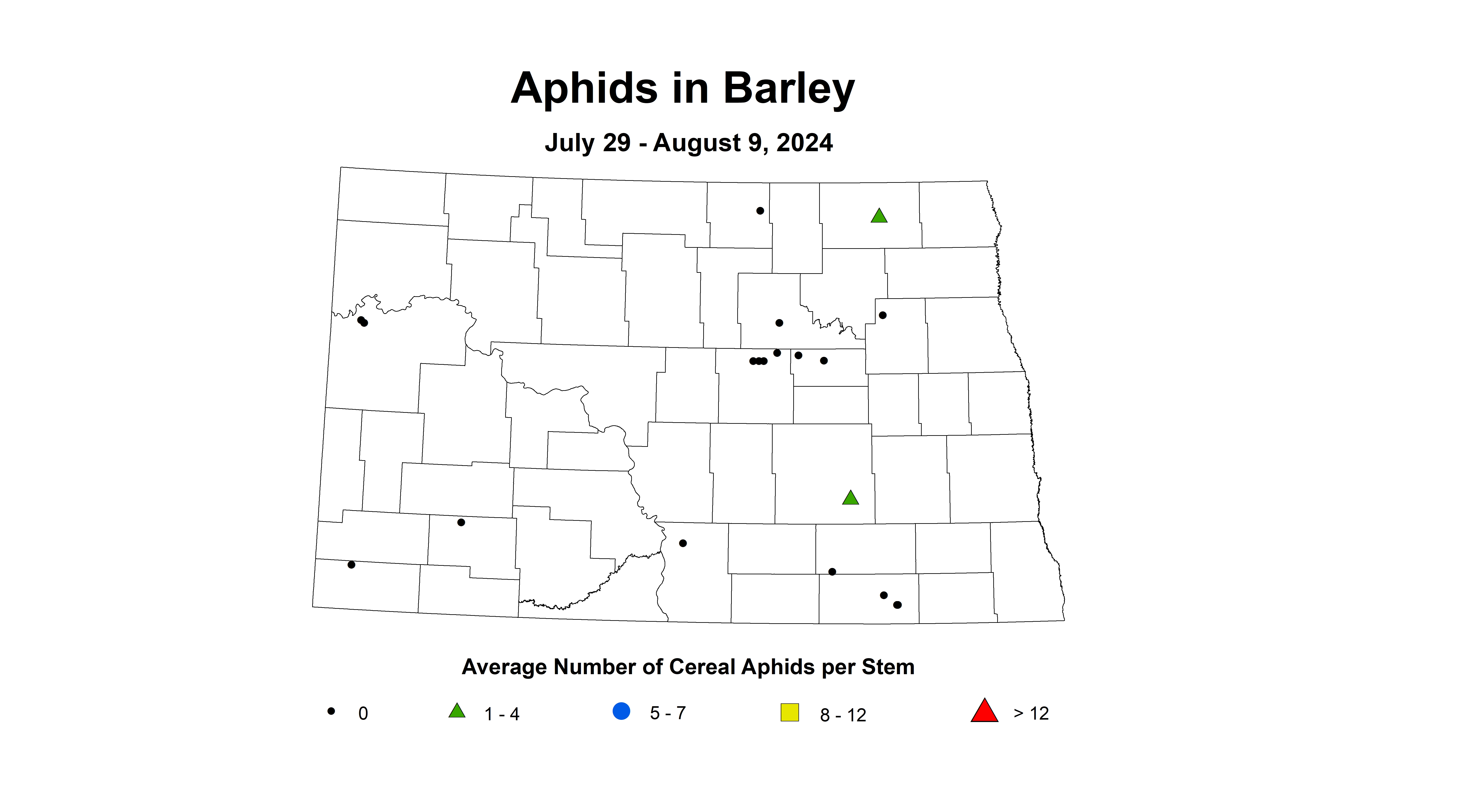 barley aphid July 29 - August 9 2024