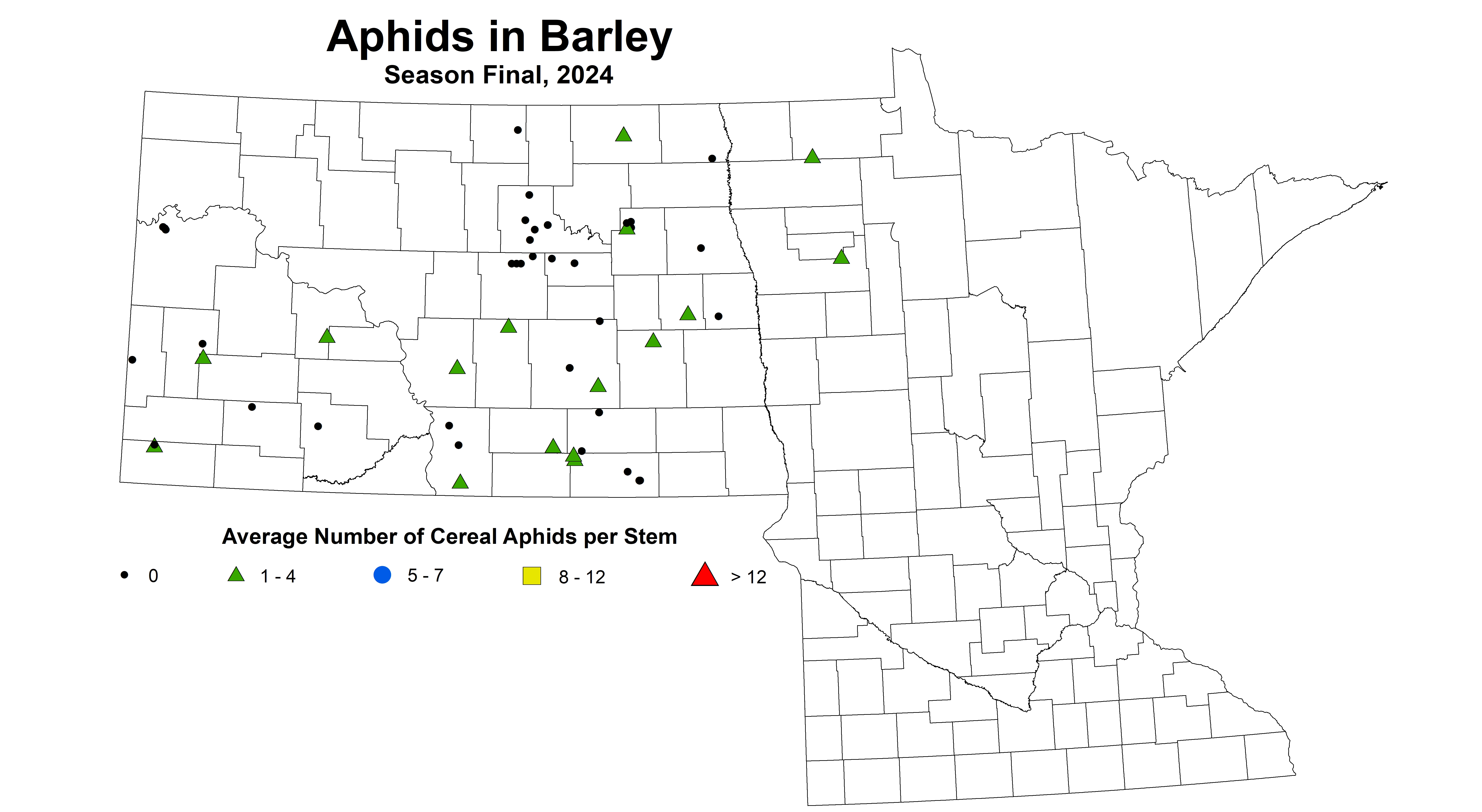 barley aphid season final 2024