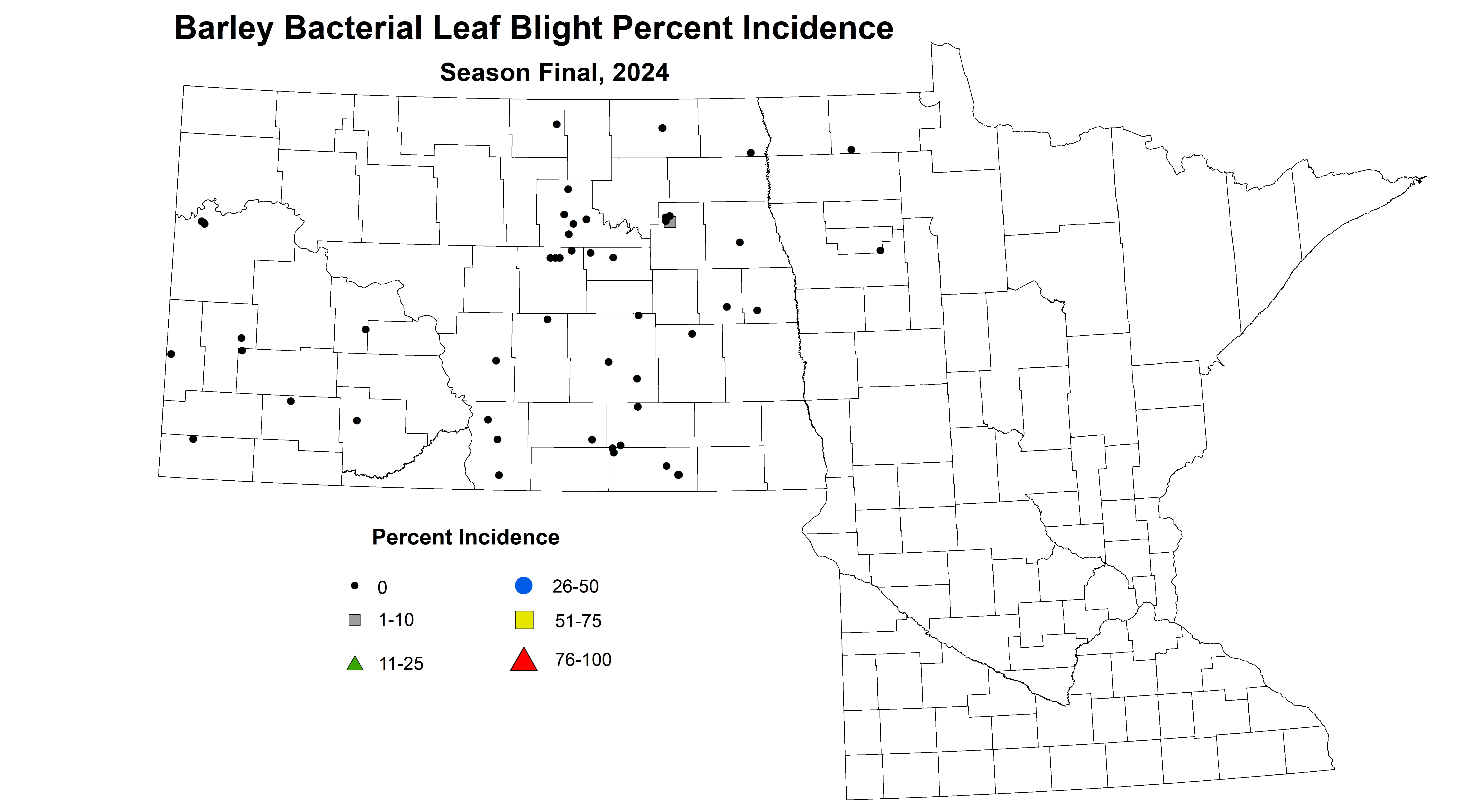 barley bacterial leaf blight incidence season final 2024