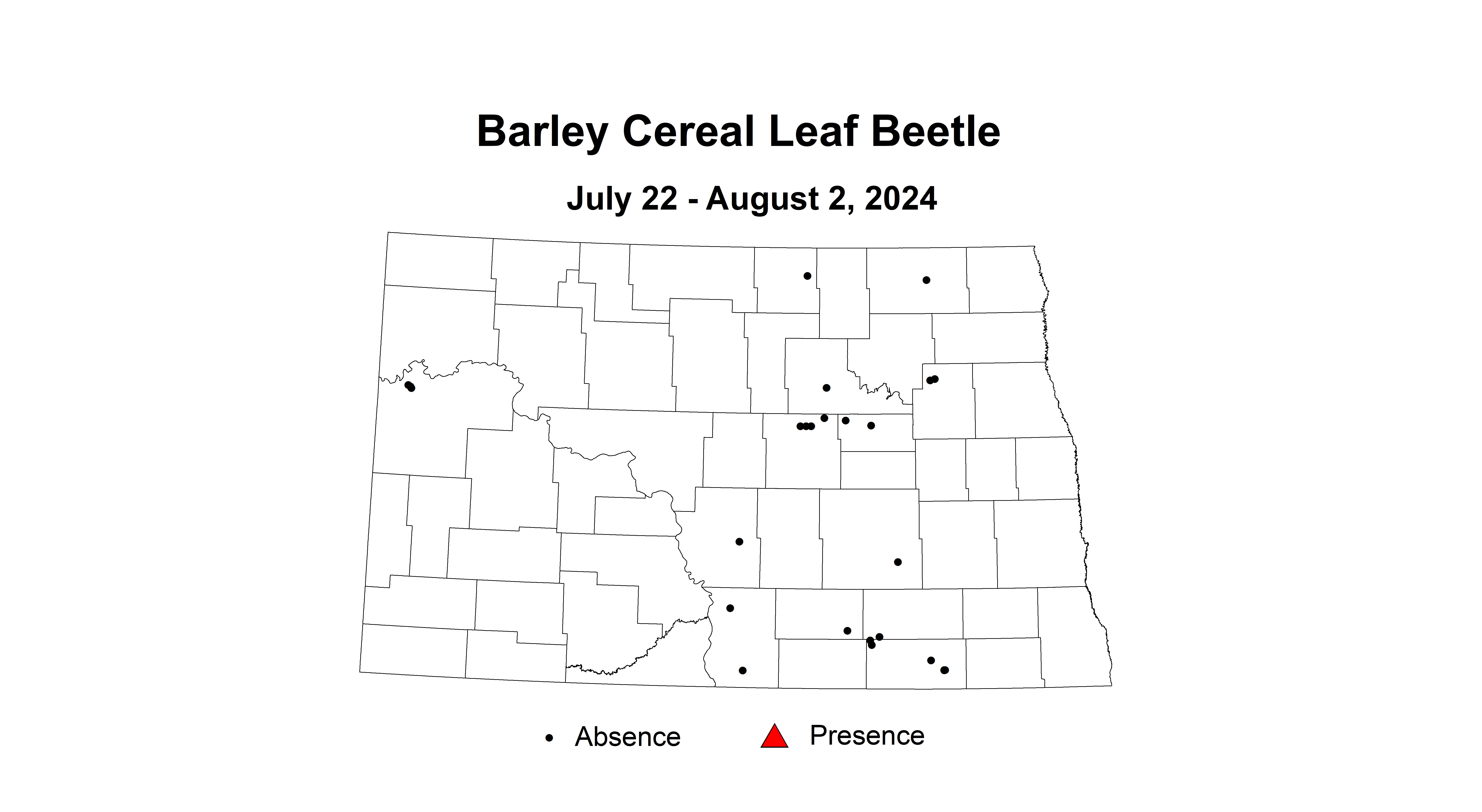 barley cereal leaf beetle July22 - August2 2024