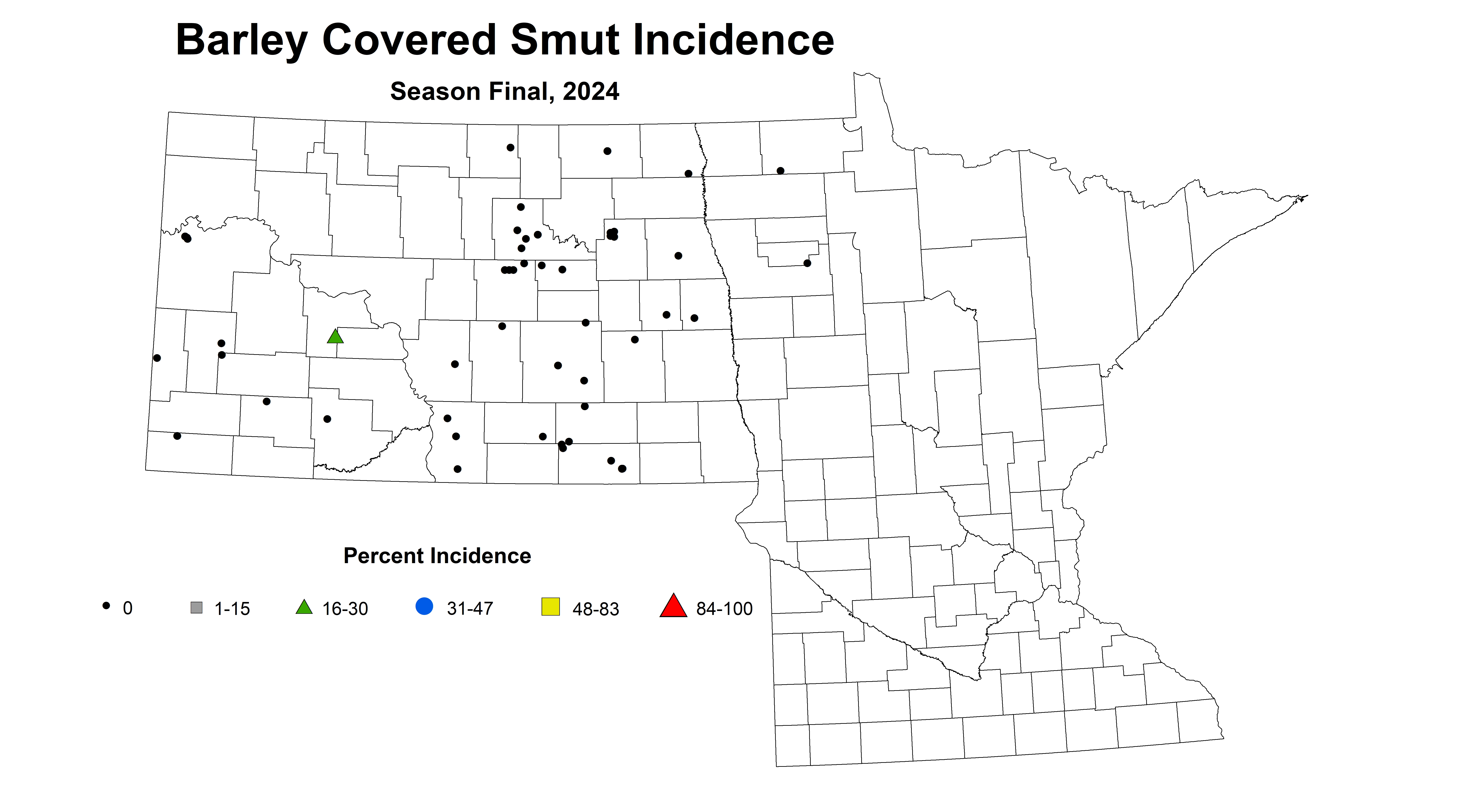 barley covered smut incidence season final 2024