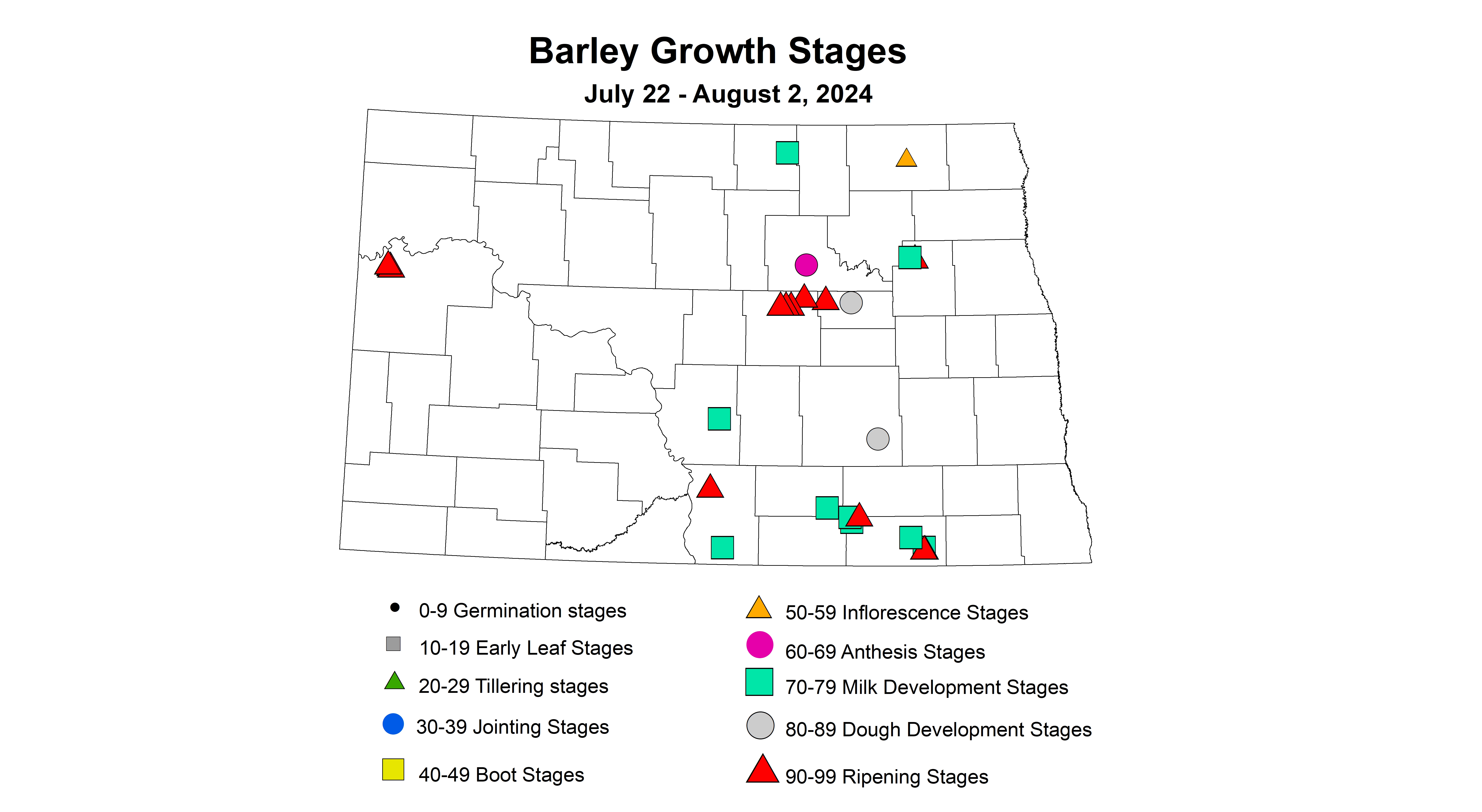 barley growth stages July 22 - August 2 2024