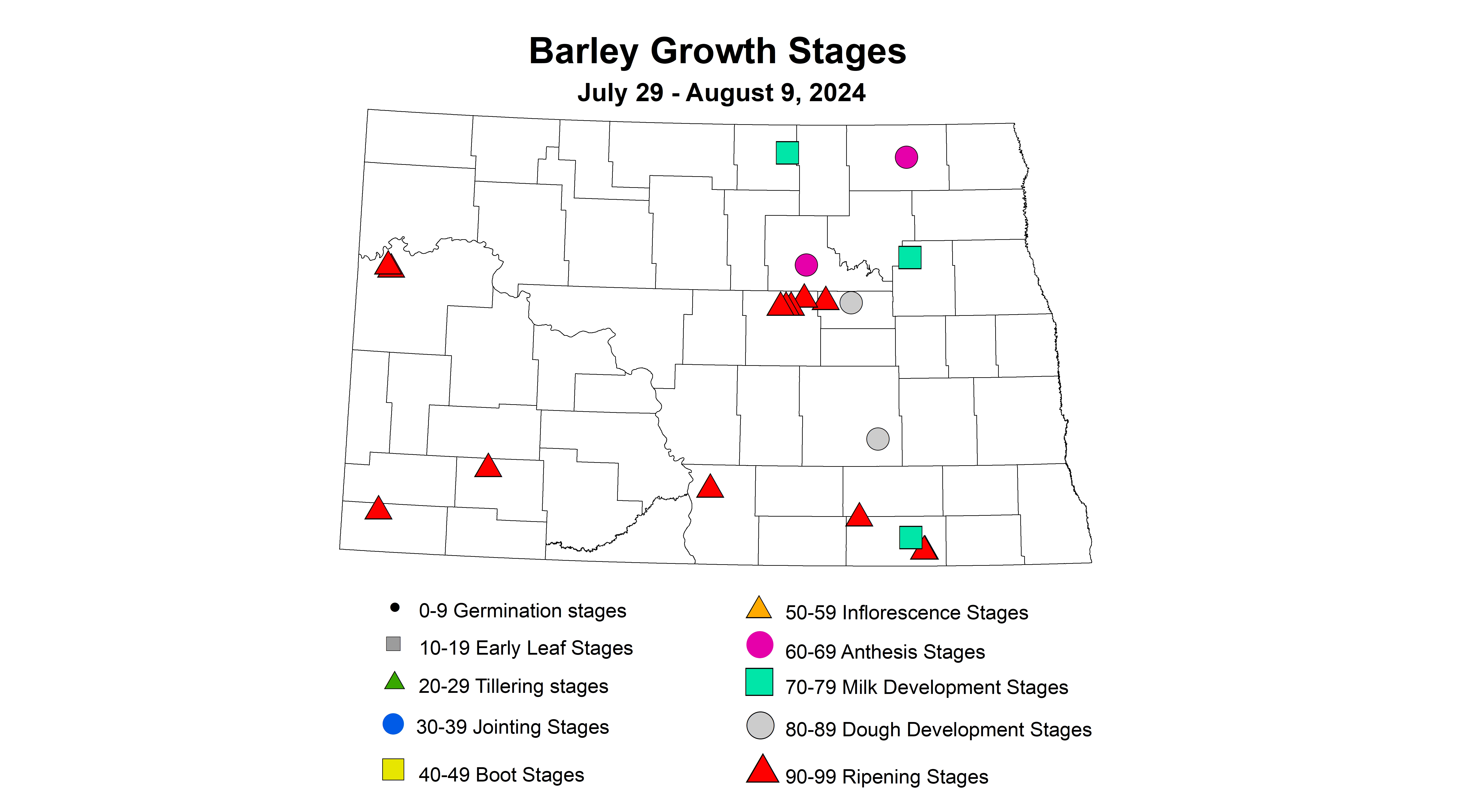 barley growth stages July 29 - August 9 2024