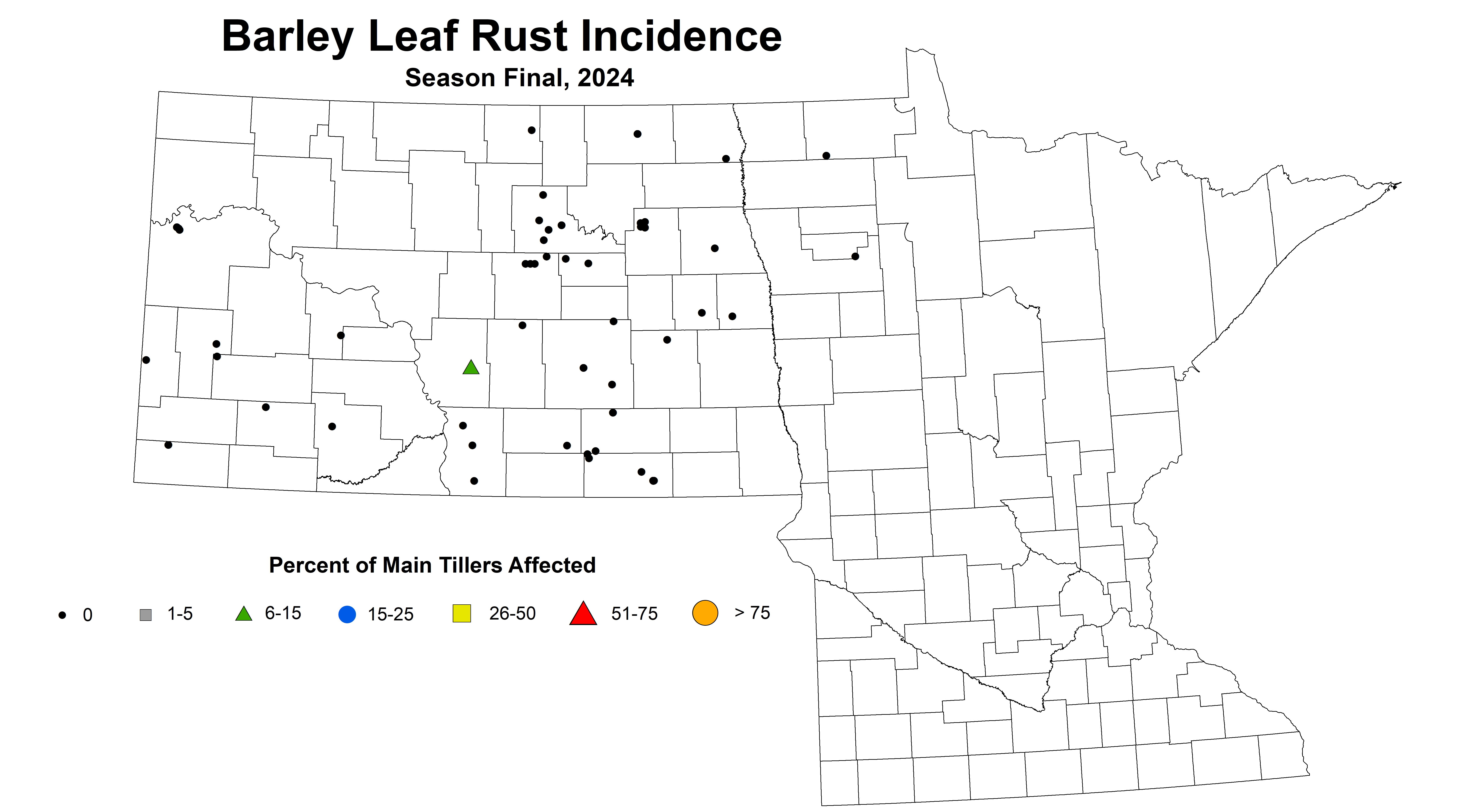 barley leaf rust incidence season final 2024