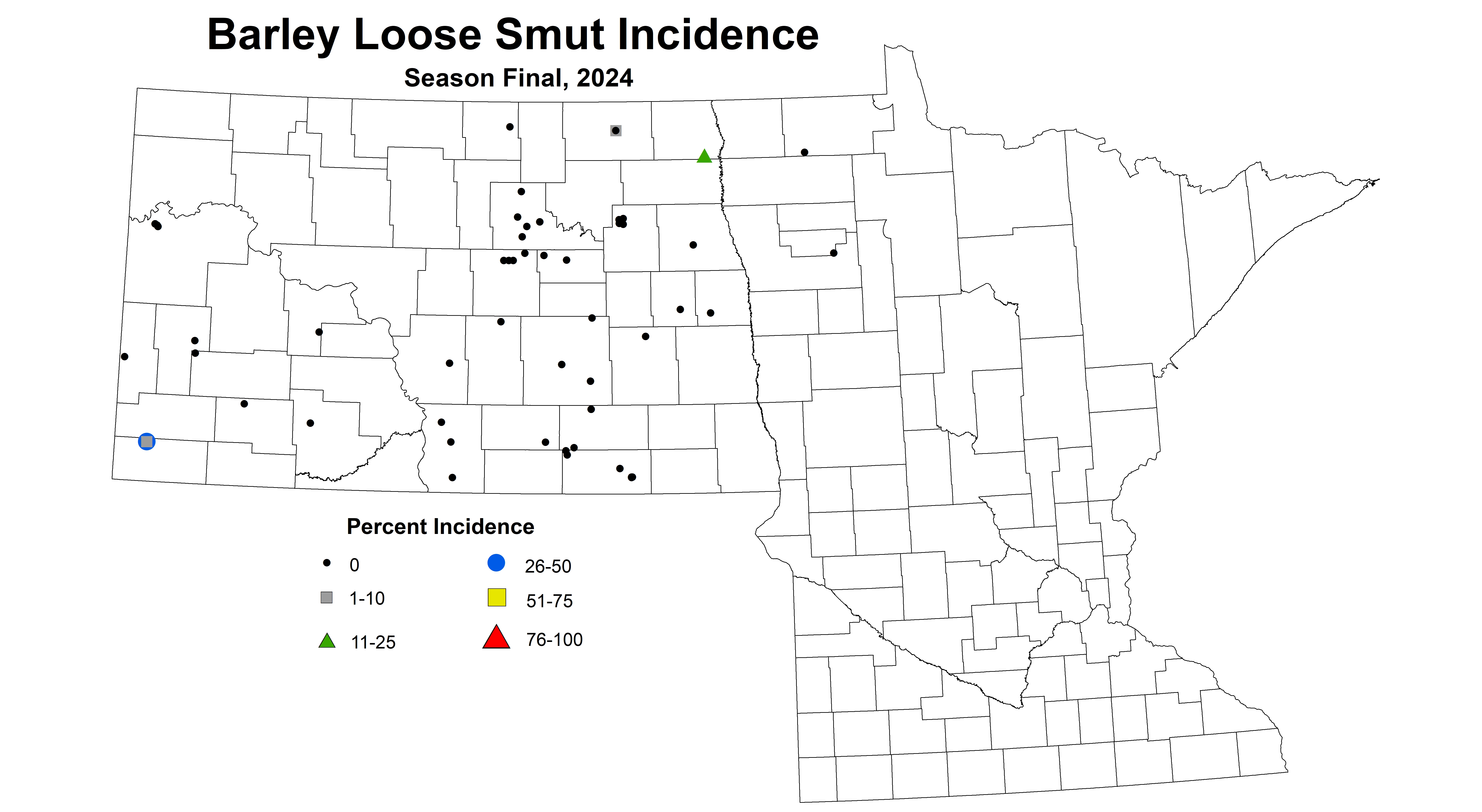 barley loose smut incidence season final 2024