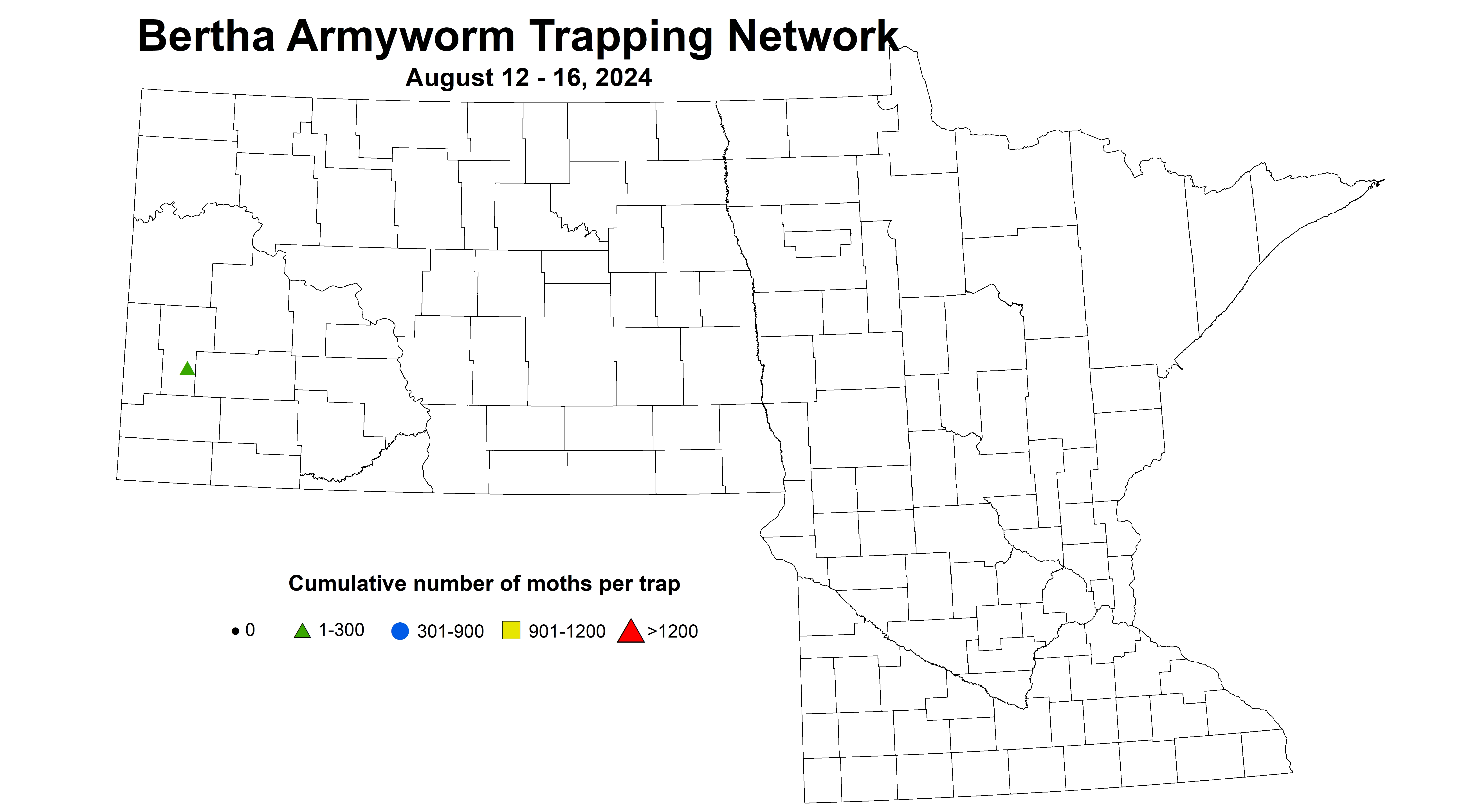 canola bertha armyworm 8.12-8.16 2024