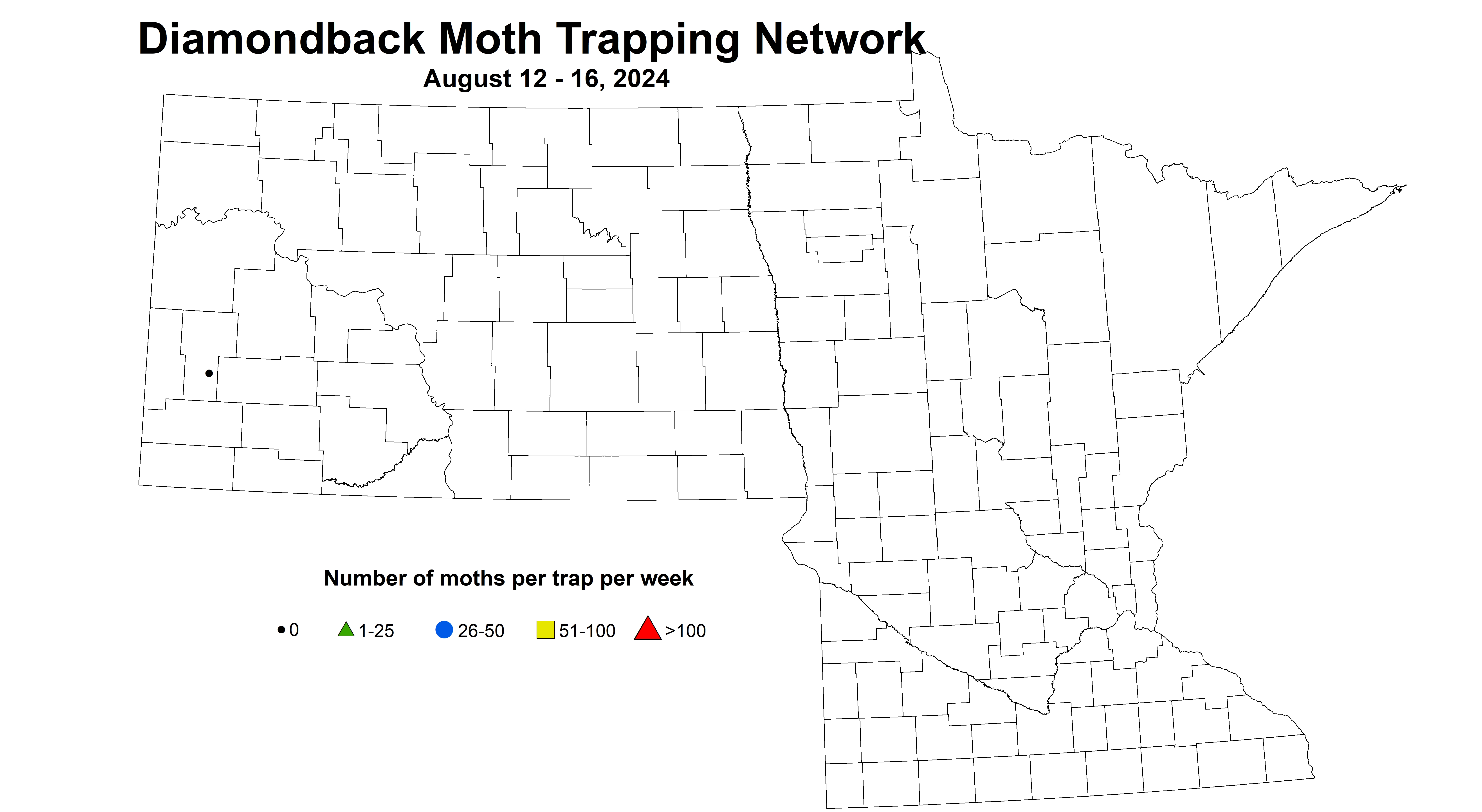 canola diamondback moth 8.12-8.16 2024