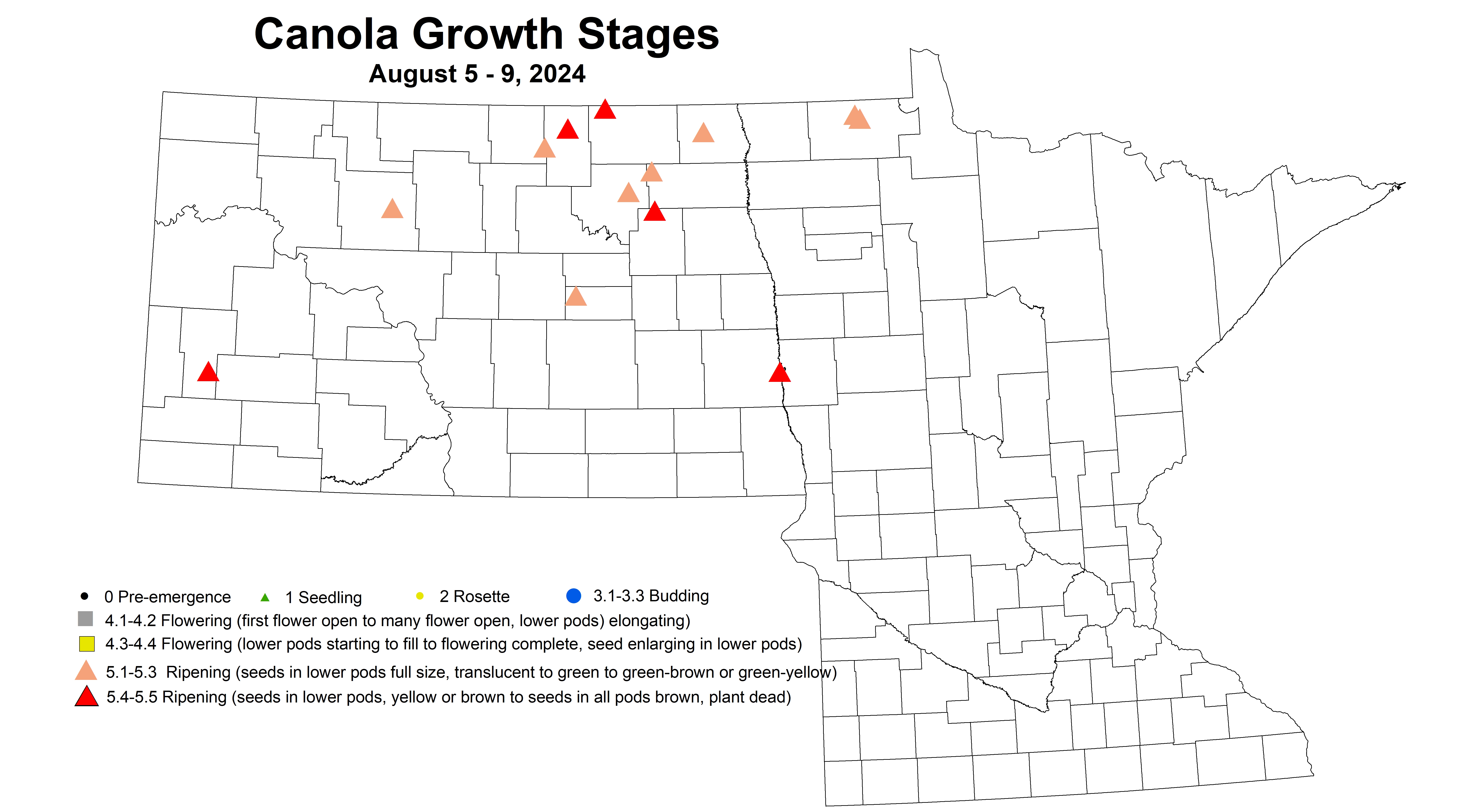 canola growth stages 8.5-8.9 2024