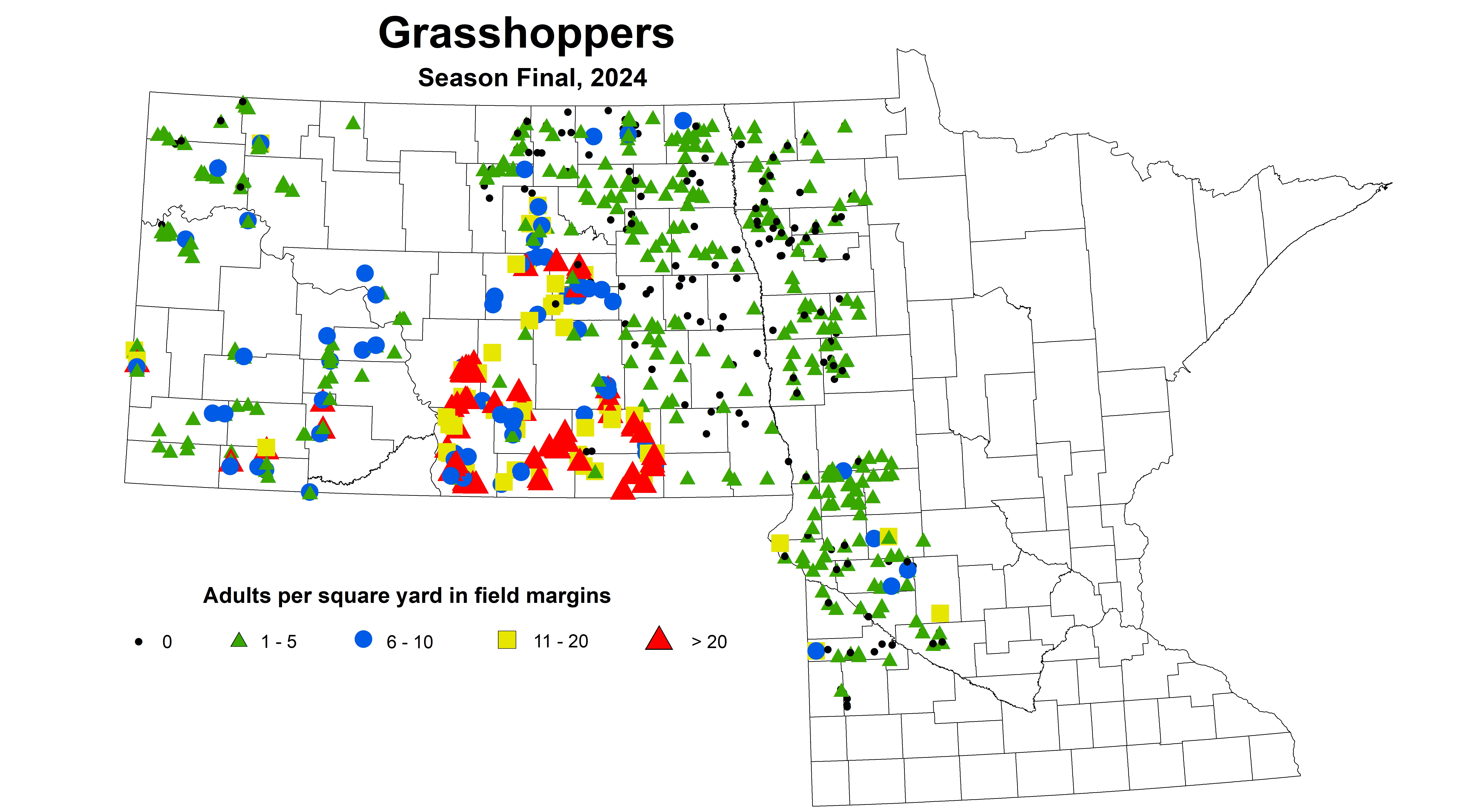 grasshopper adult season final 2024