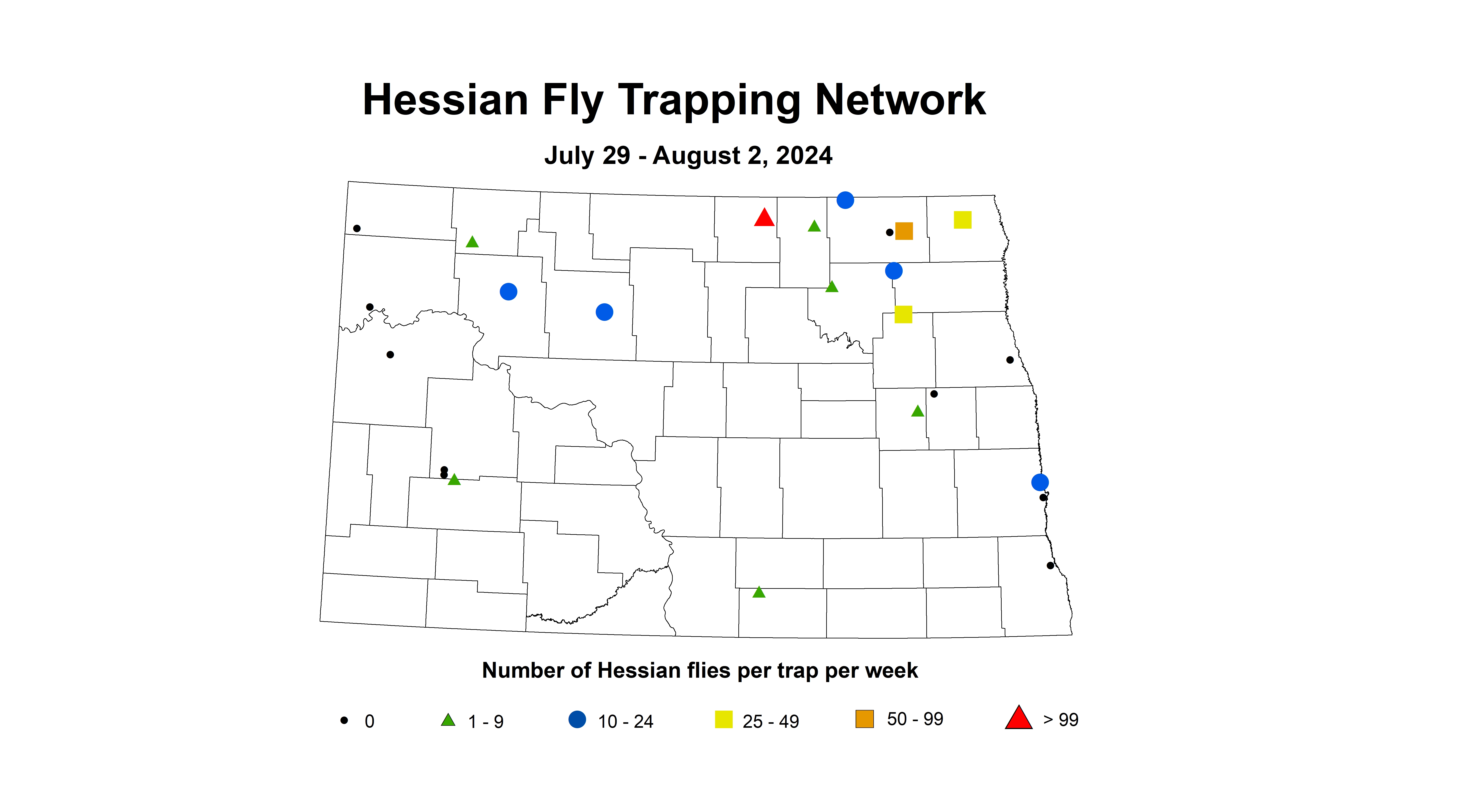 hessian fly wheat insect July 29 - August 2 2024