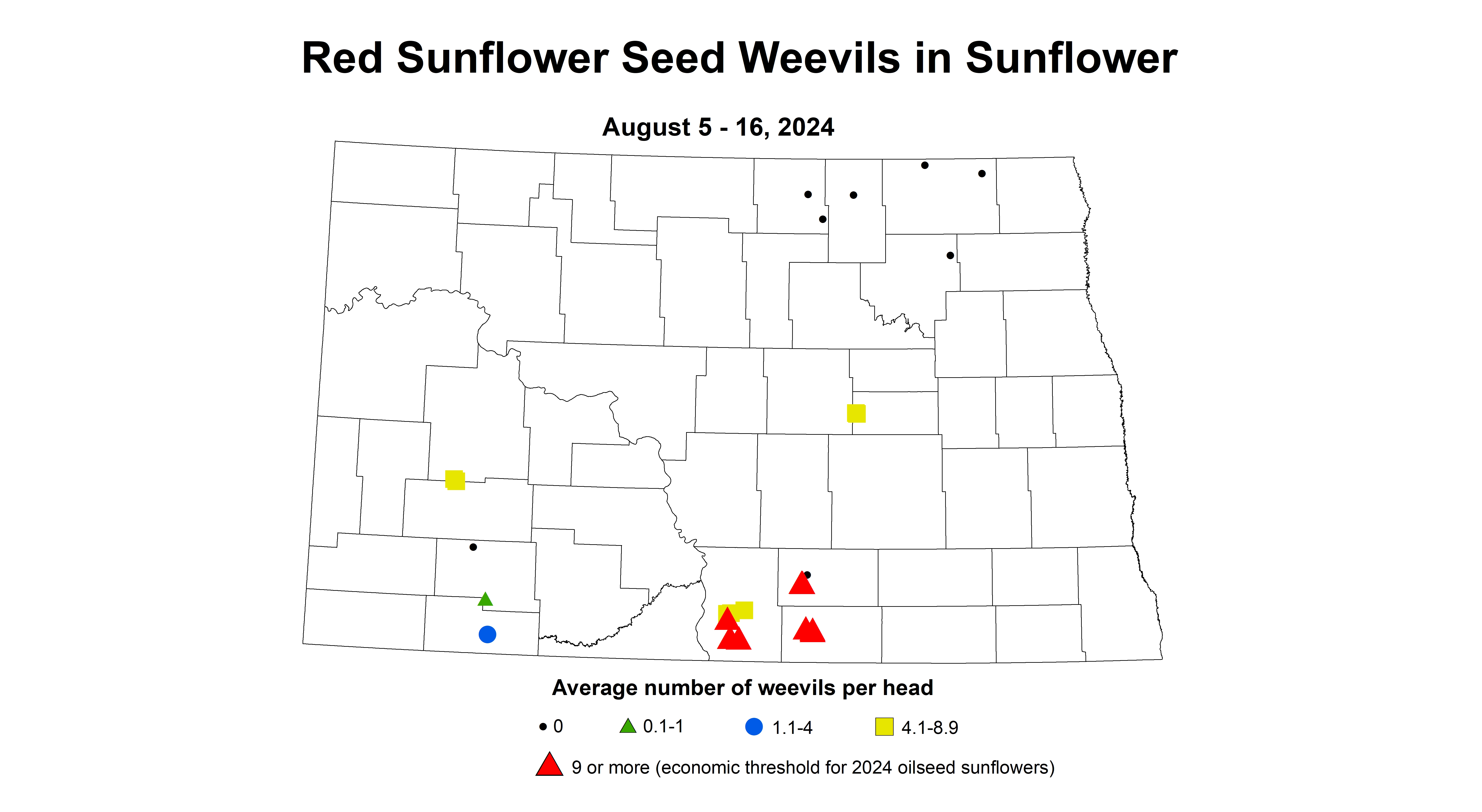 red sunflower seed weevils August 5-16 2024