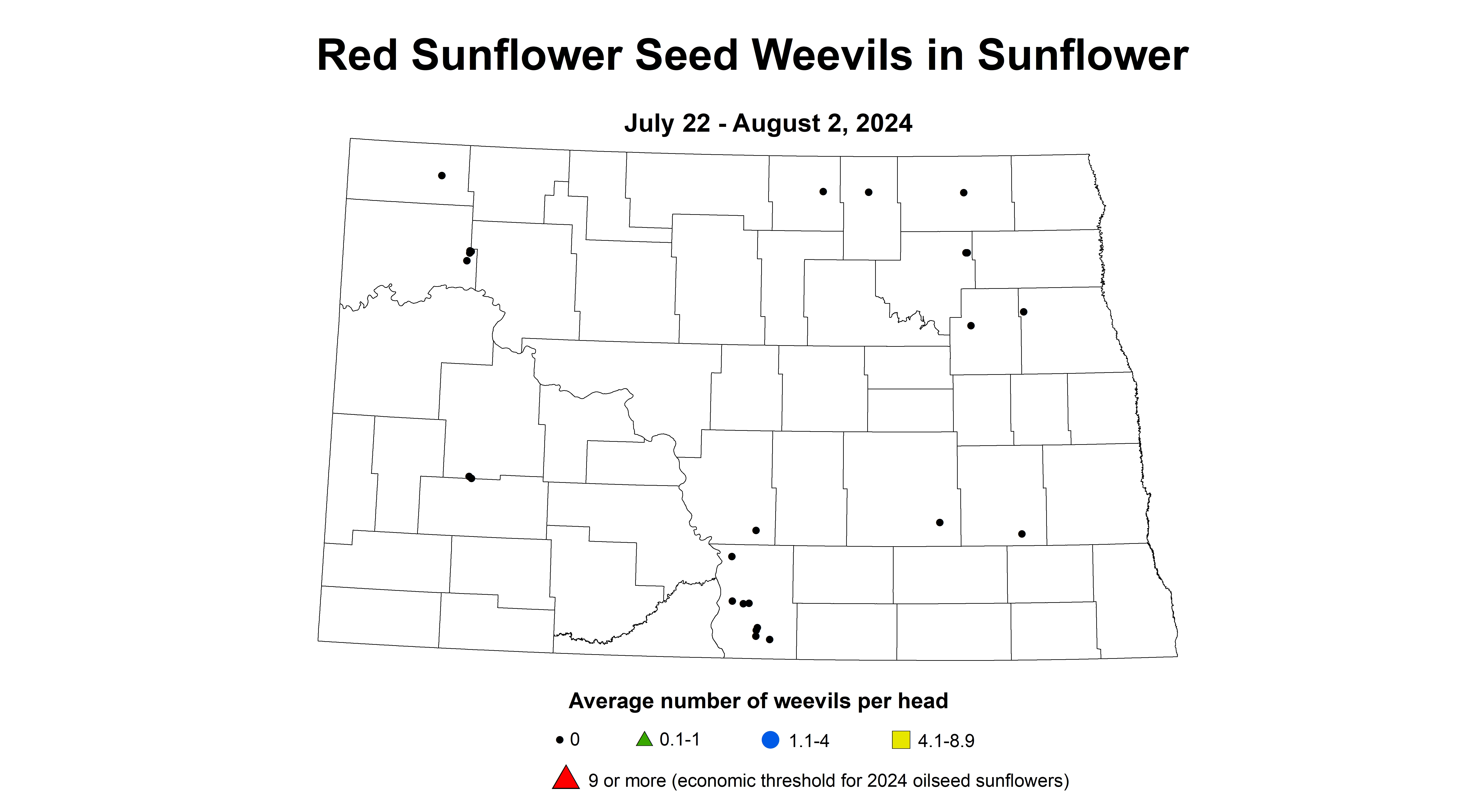 updated red sunflower seed weevils July 22 - August 2 2024