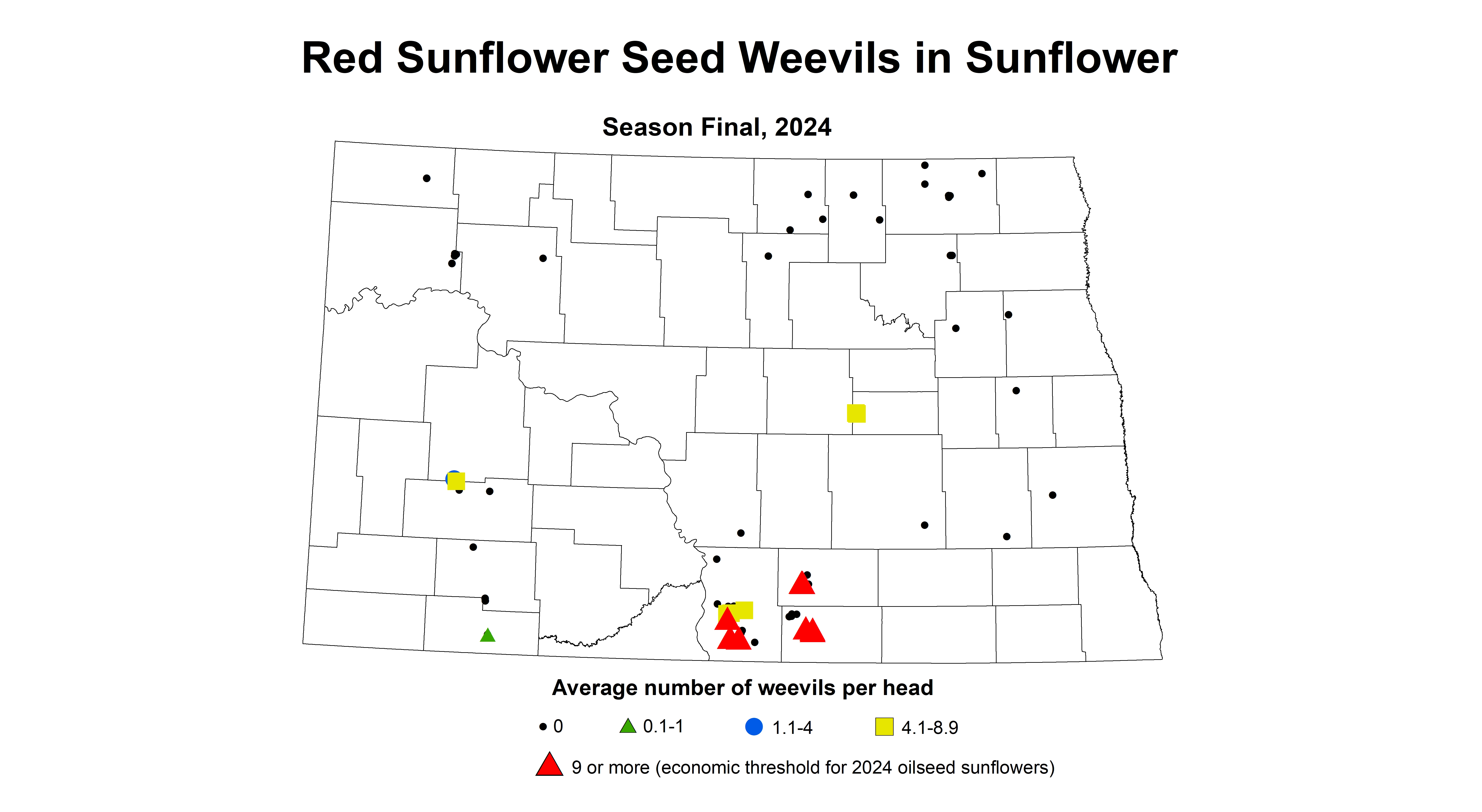 red sunflower seed weevils season final 2024