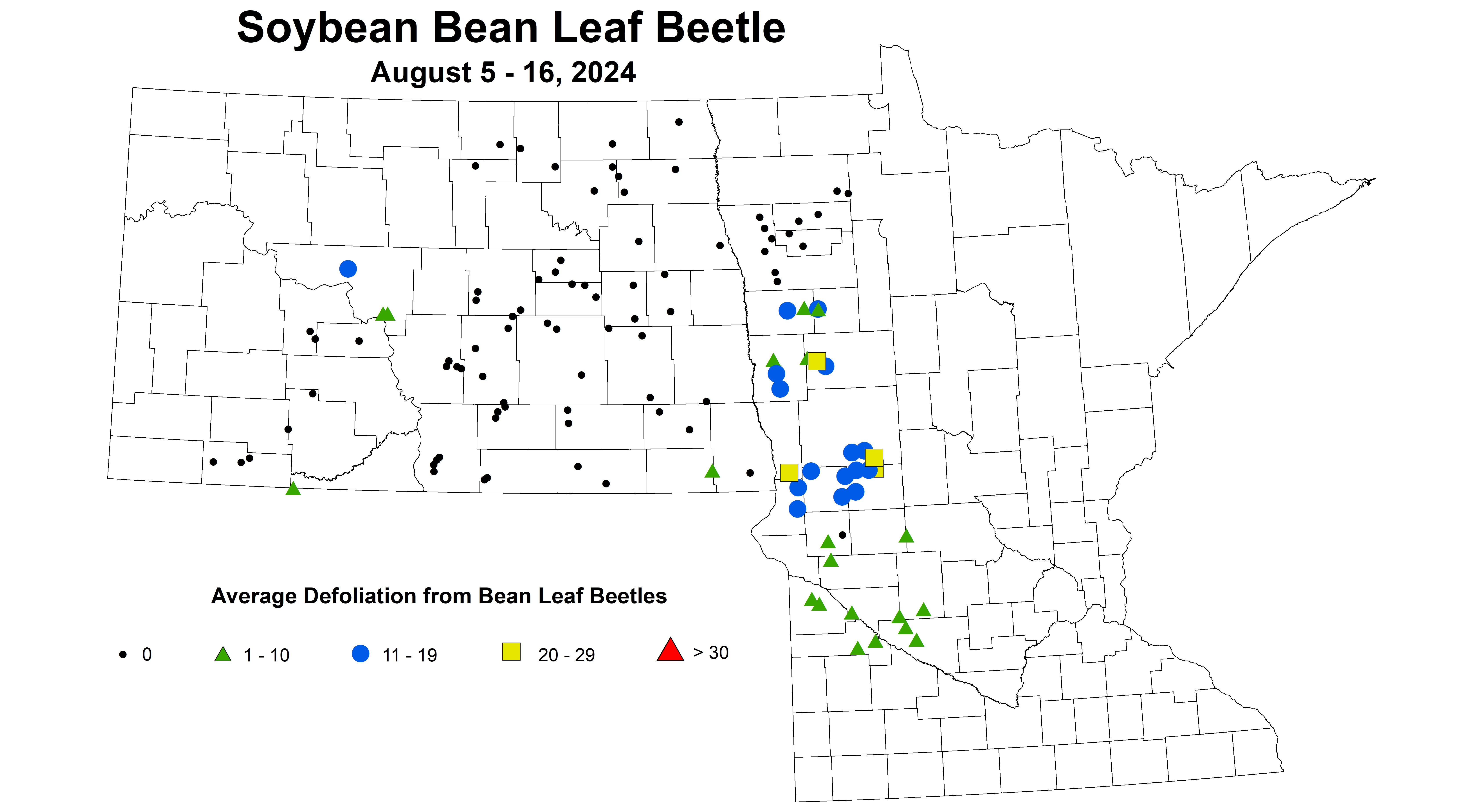 soybean BLB defoliation August 5-16 2024