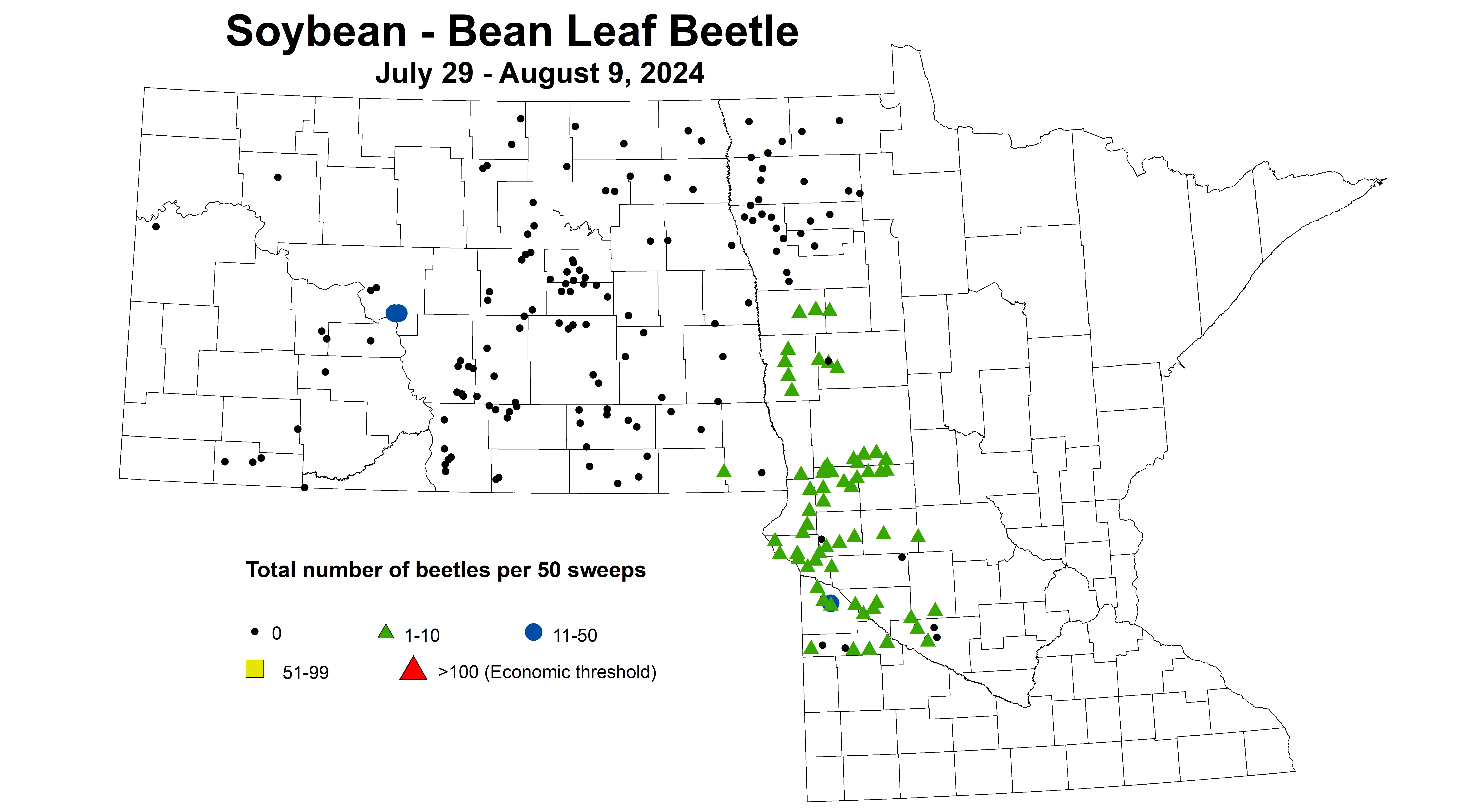 soybean BLB total number of beetles July 29 - August 9 2024