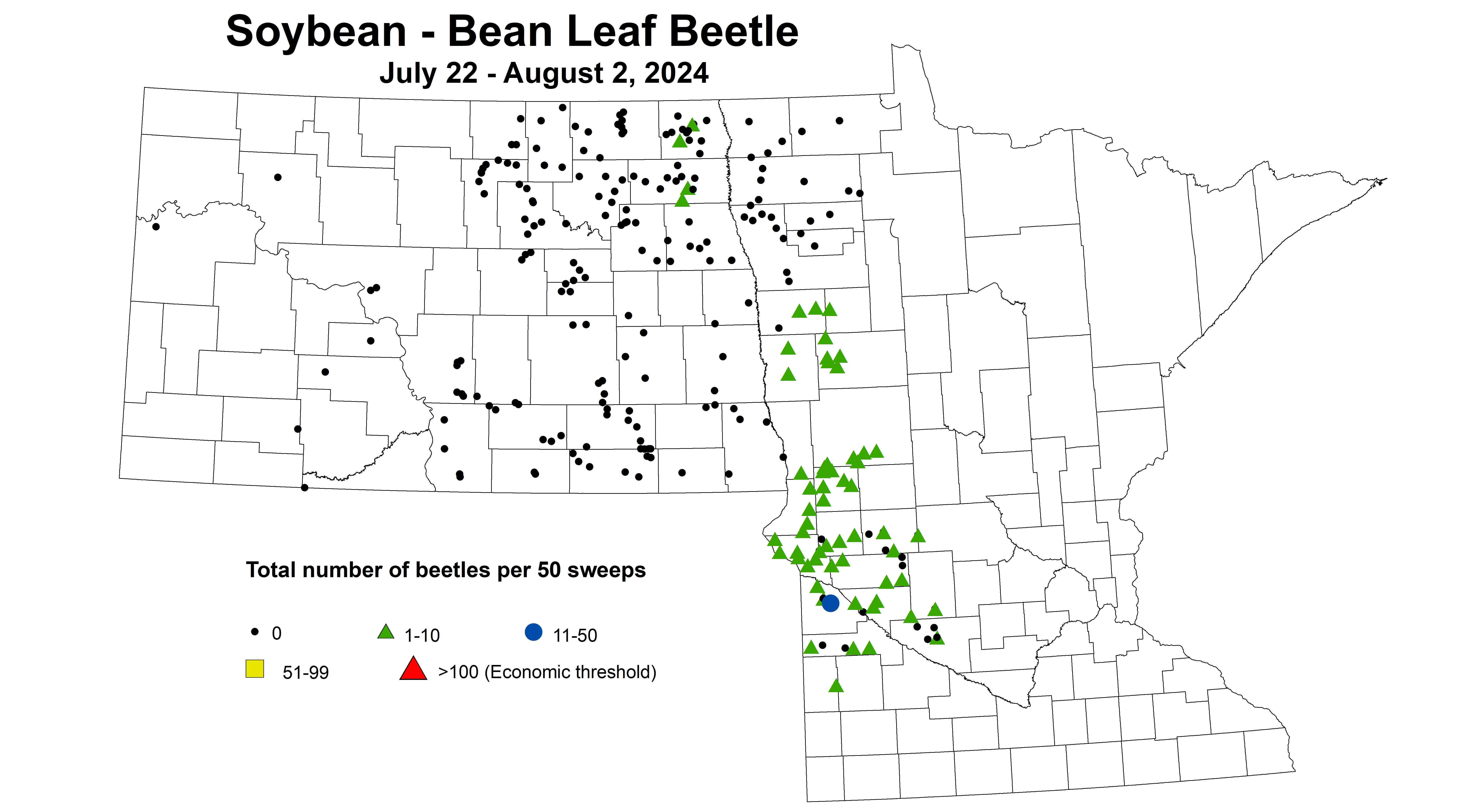 soybean BLB total number of beetles per 50 sweeps July 22 - August 2 2024