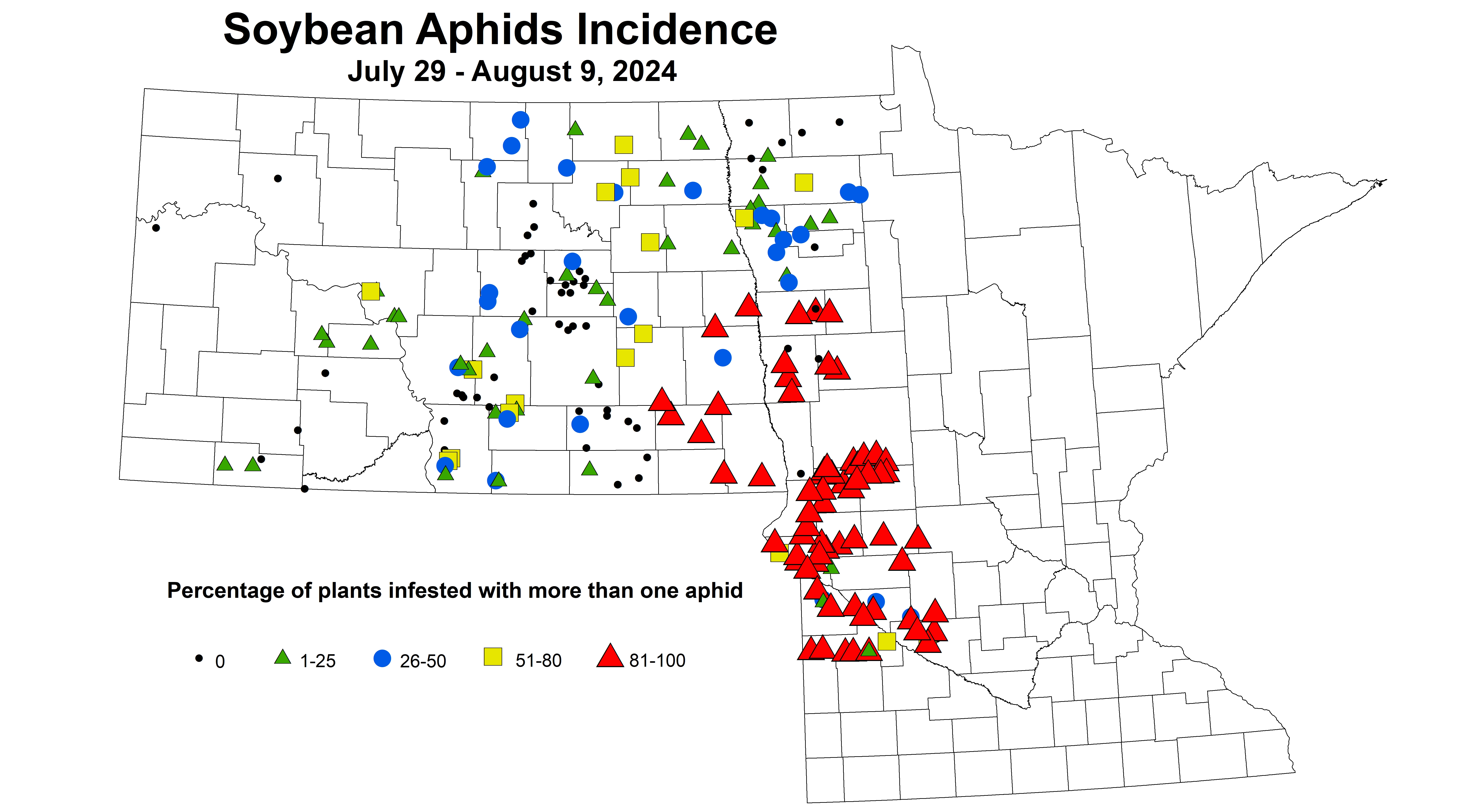 soybean aphid incidence July 29 - August 9 2024