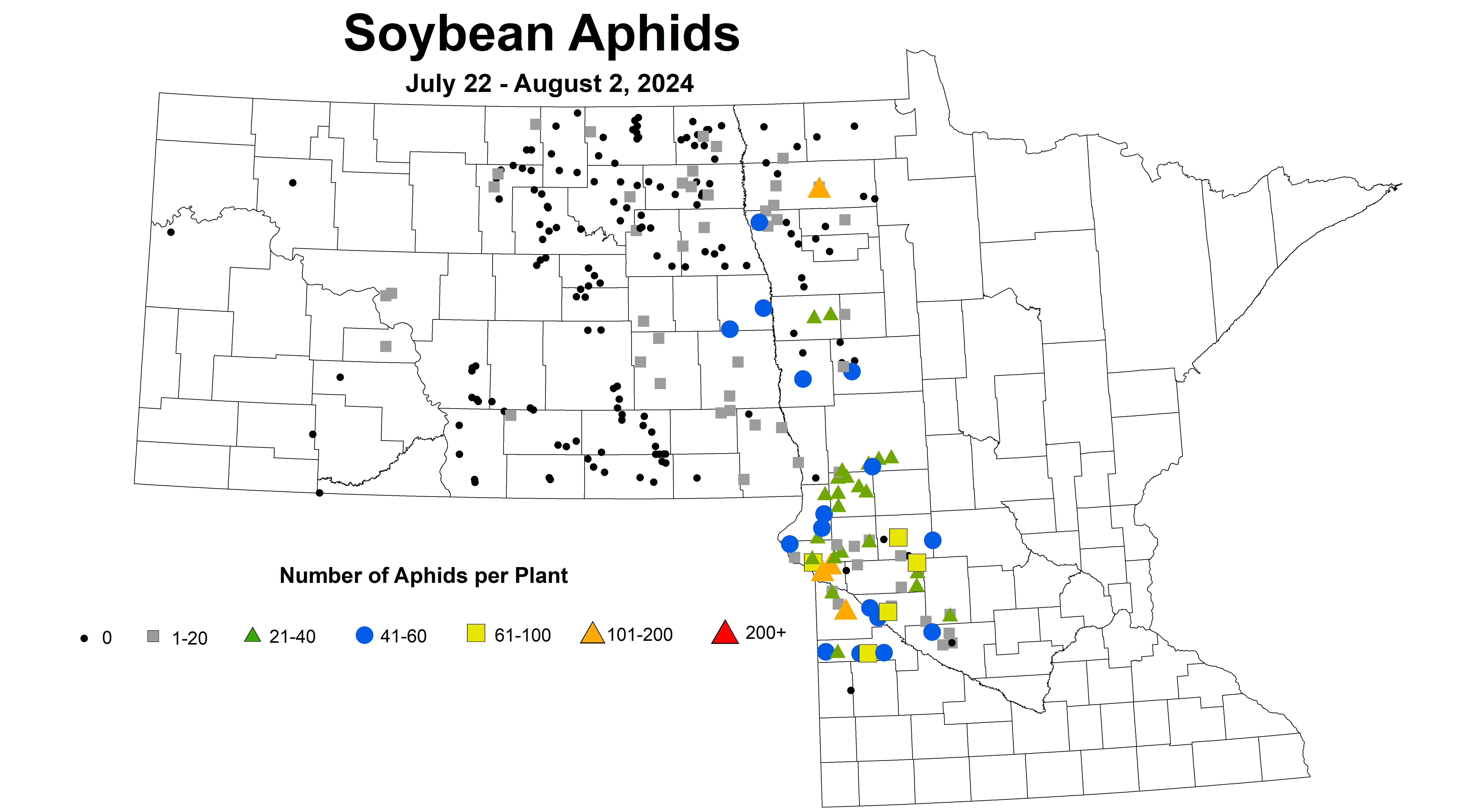 soybean aphid number July 22 - August 2 2024