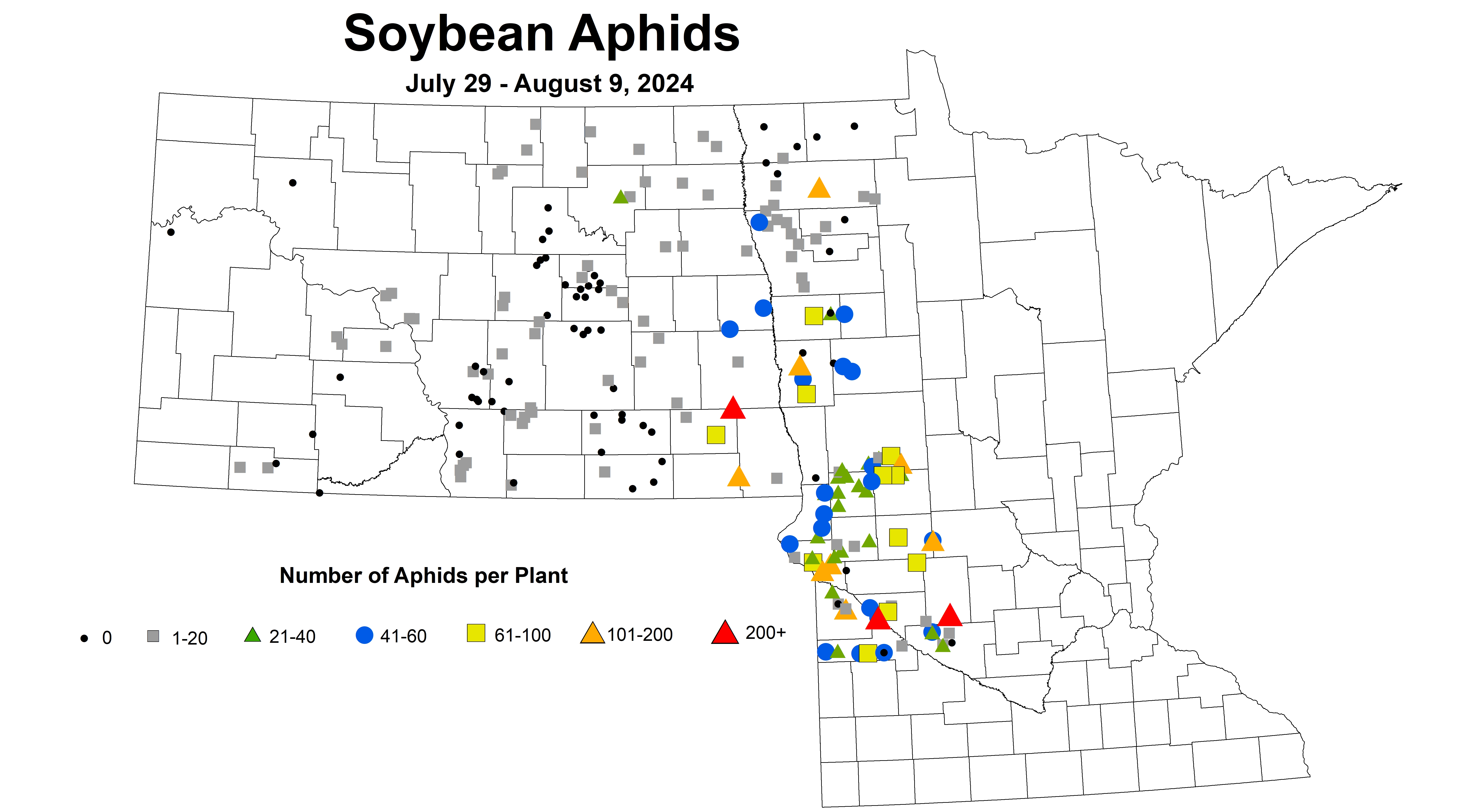 soybean aphid number July 29 - August 9 2024