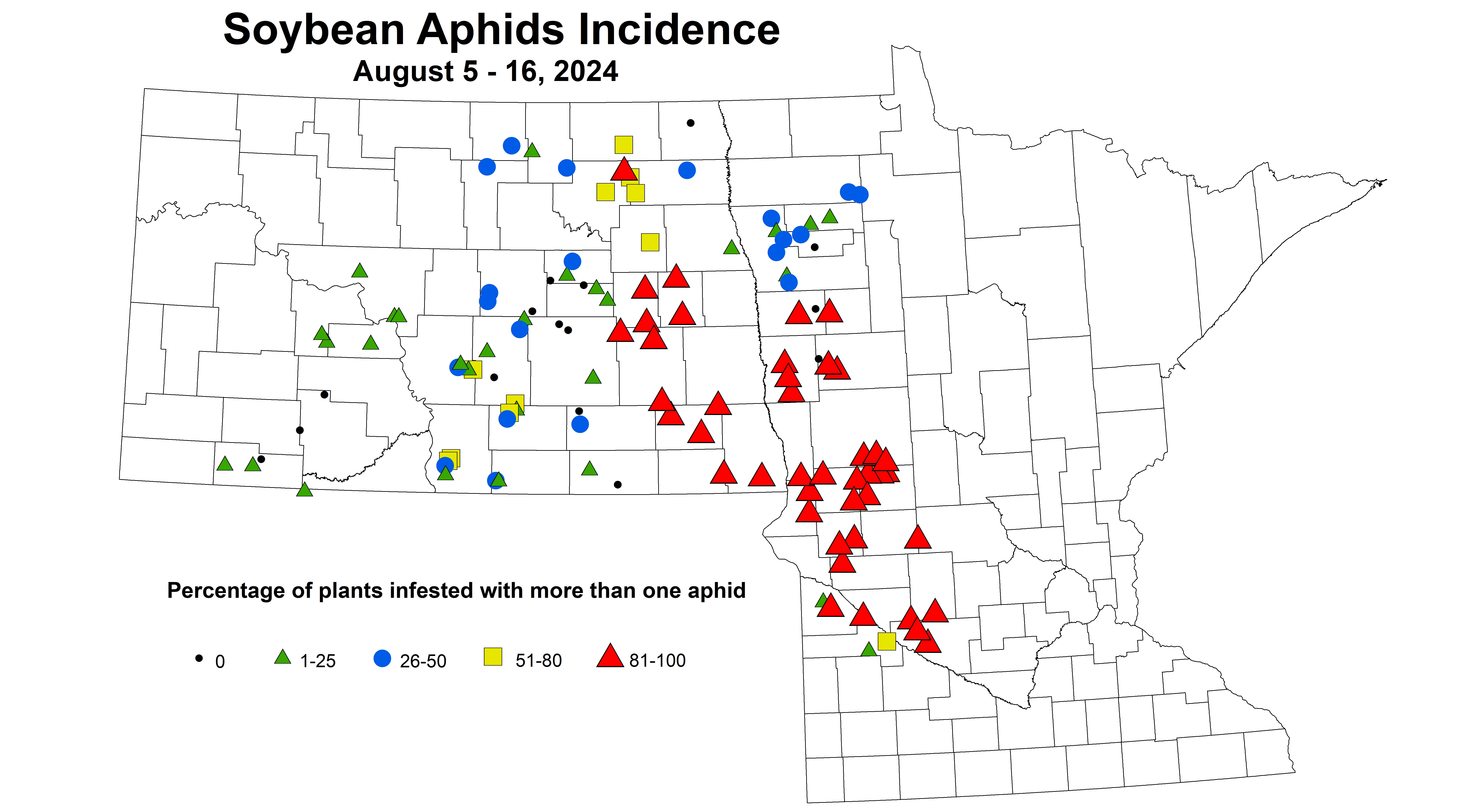 soybean aphids incidence August 5-16 2024