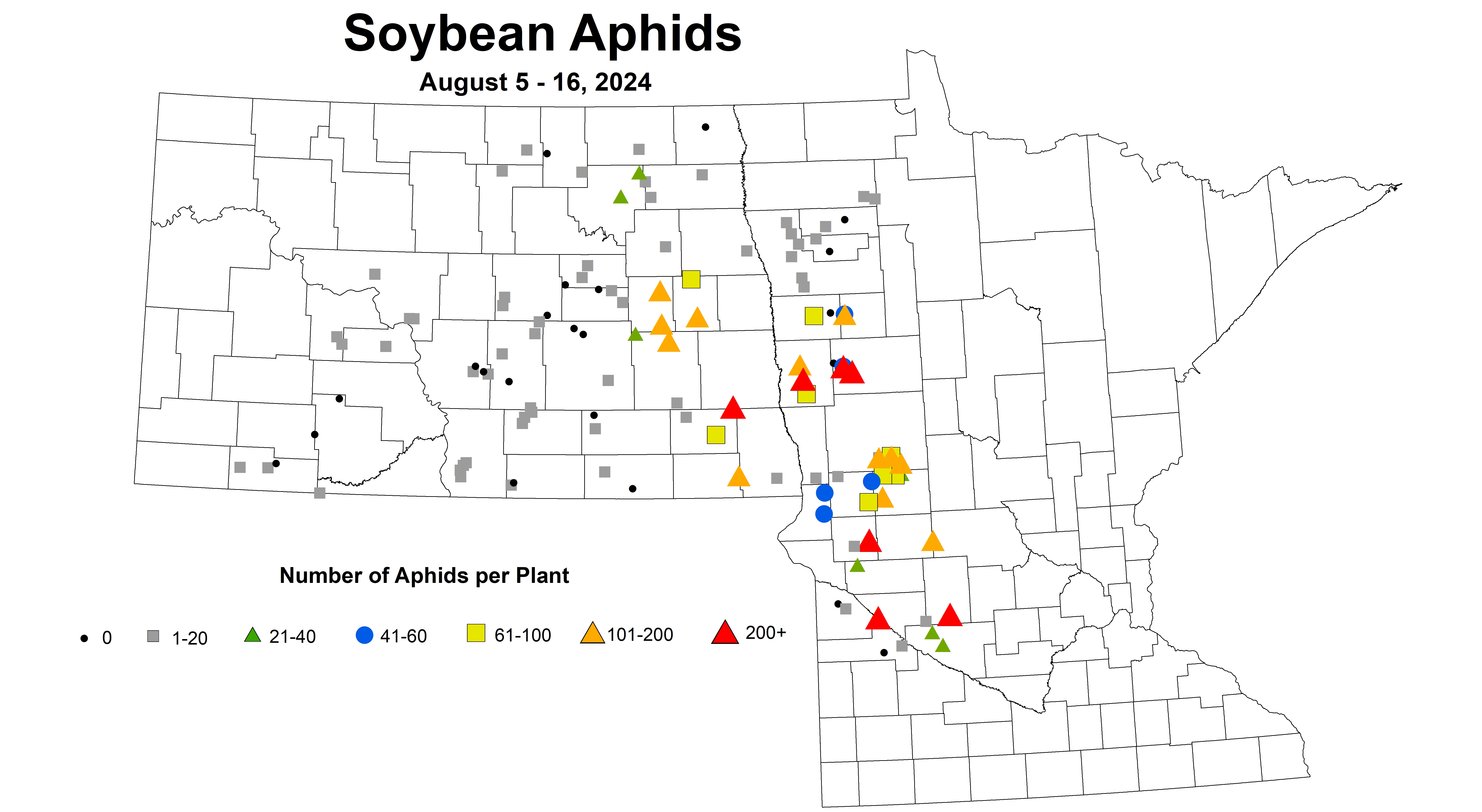 soybean aphids number August 5-16 2024