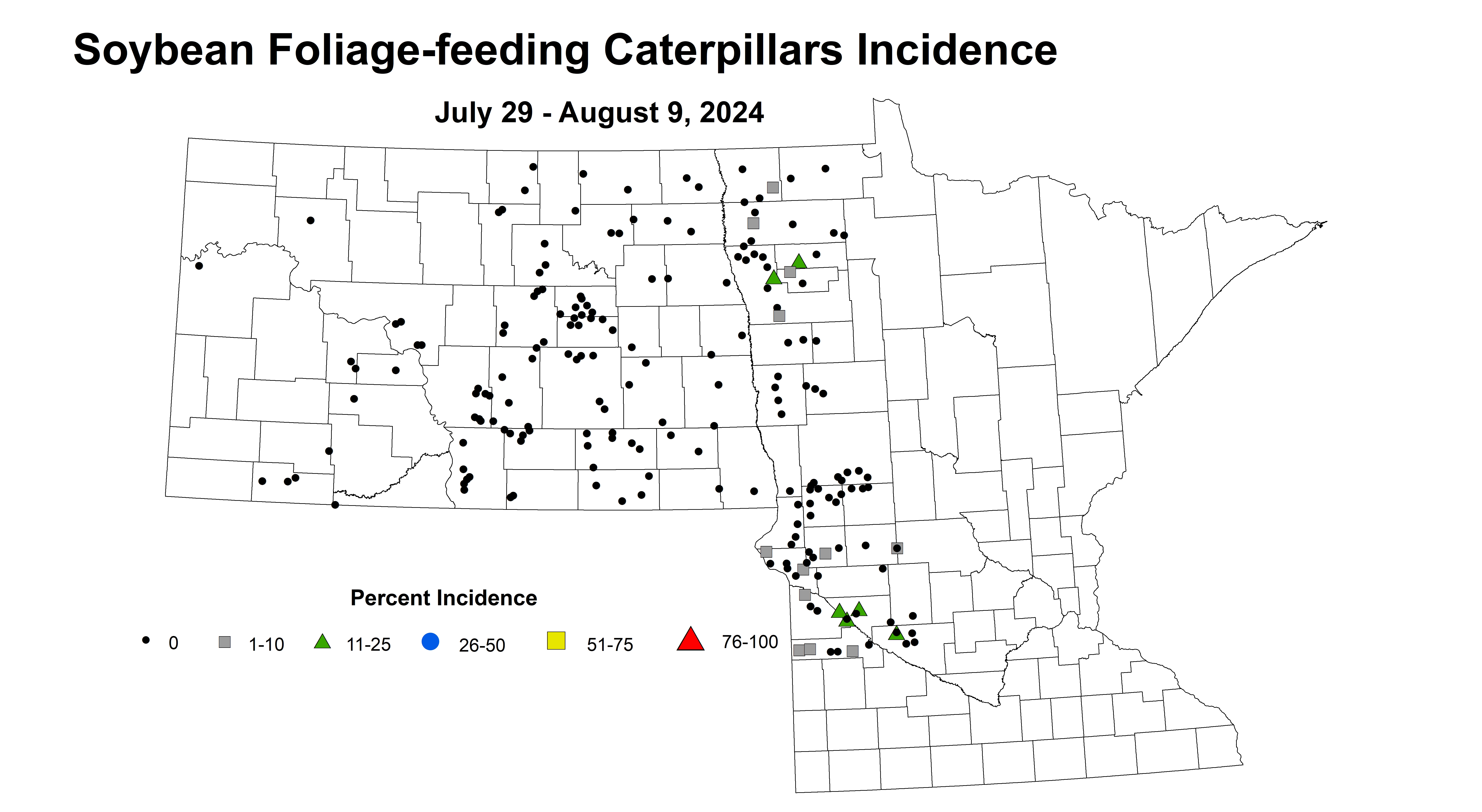 soybean caterpillar incidence July 29 - August 9 2024