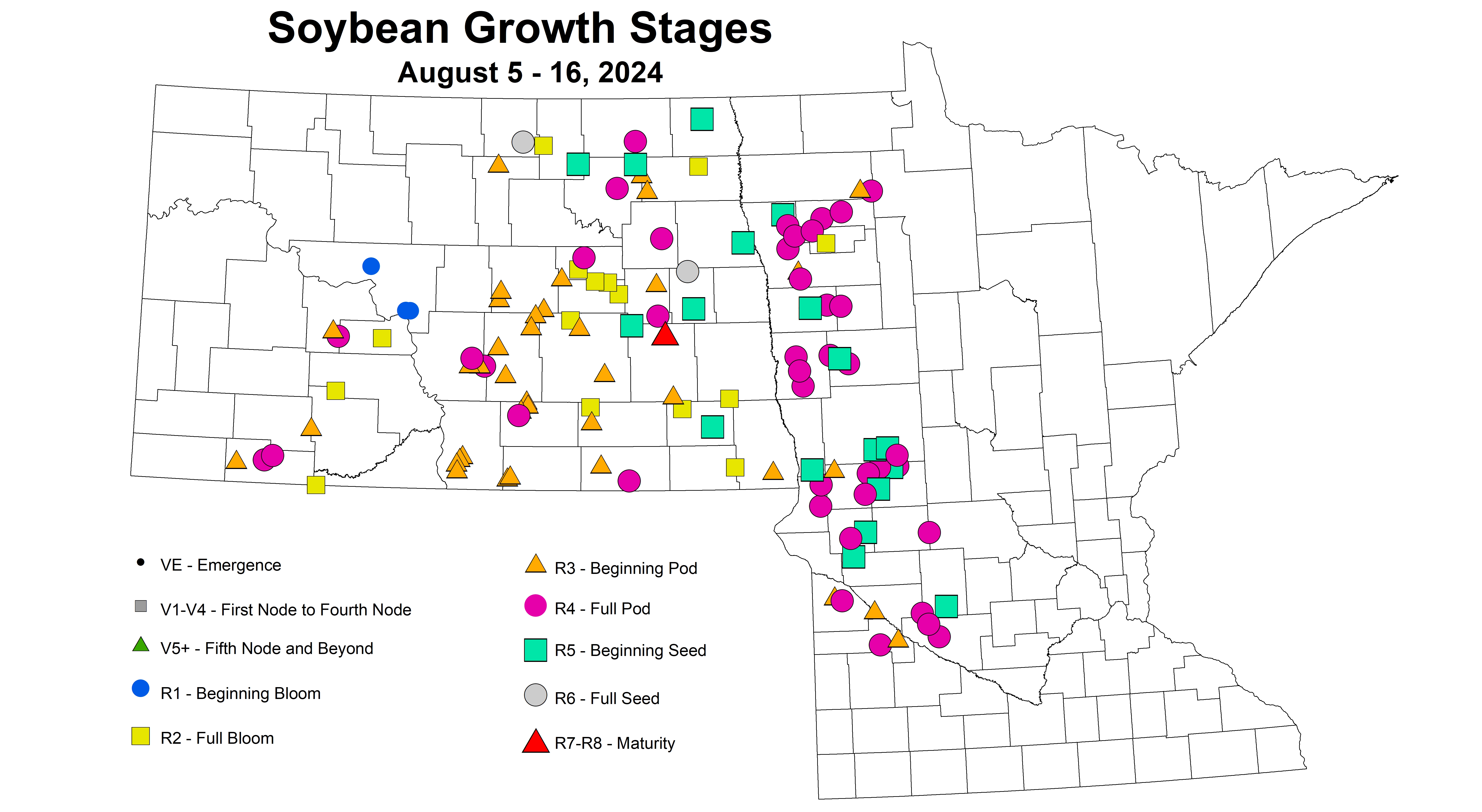 soybean growth stages August 5-16 2024