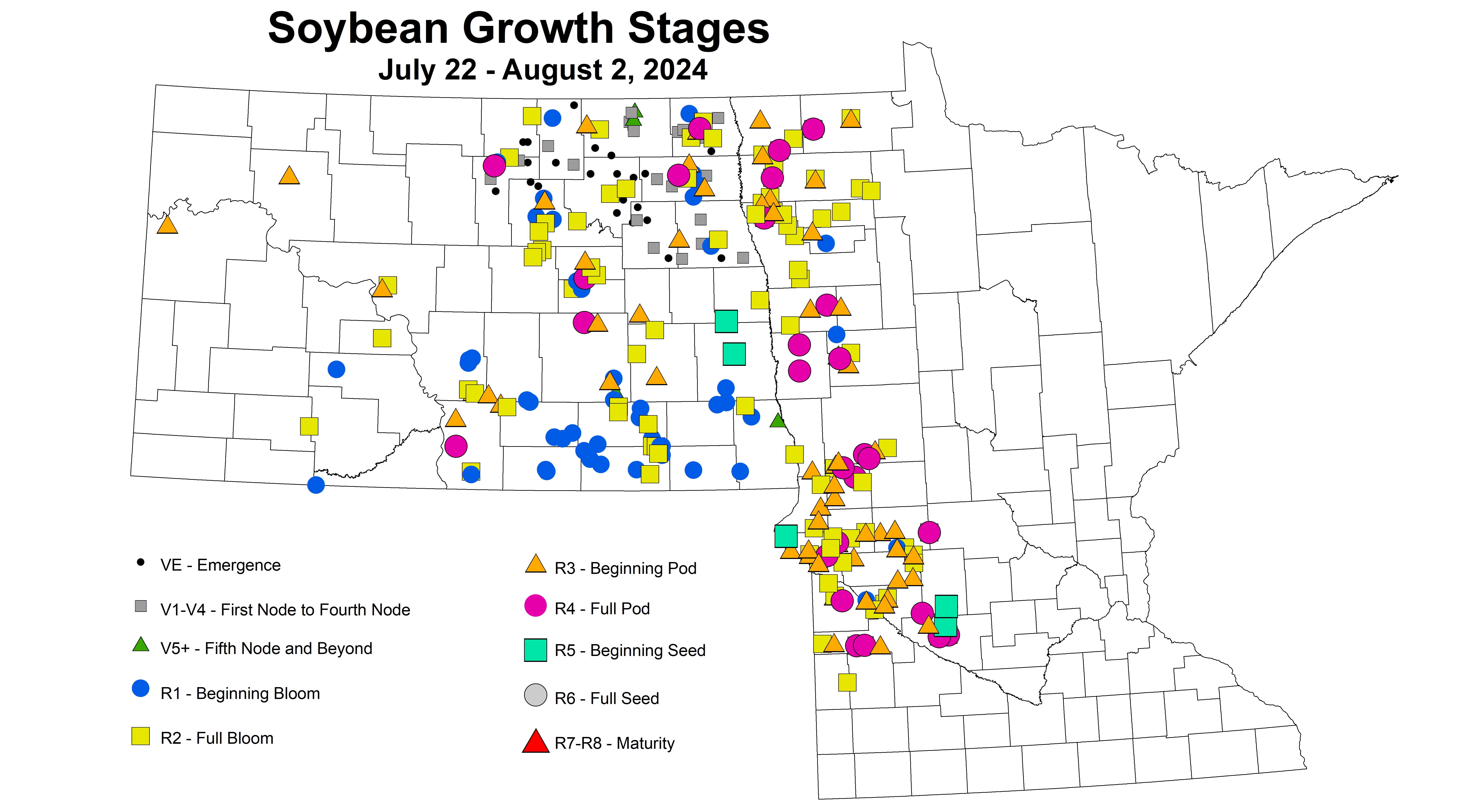 soybean growth stages July 22 - August 2 2024