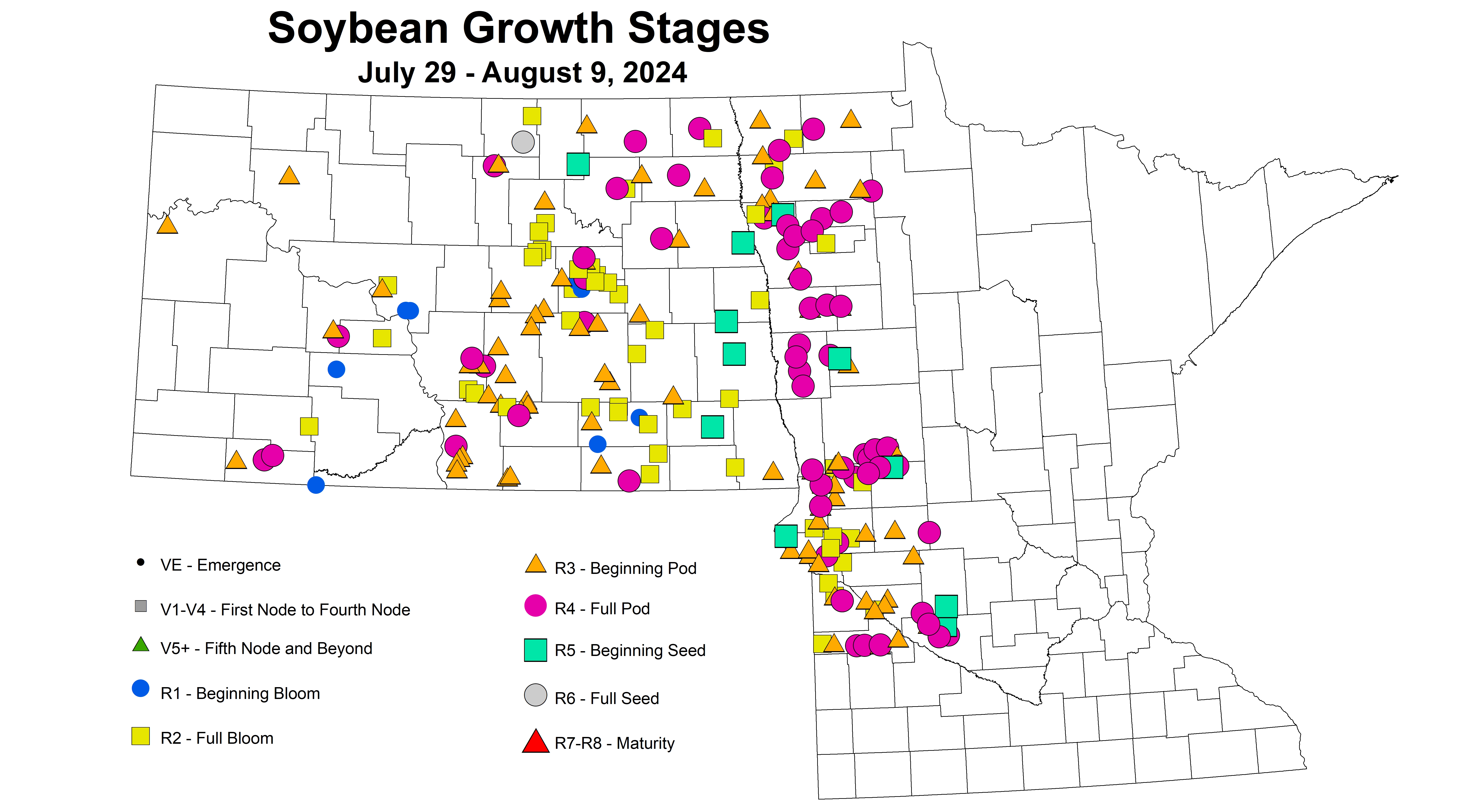 soybean growth stages July 29 - August 9 2024