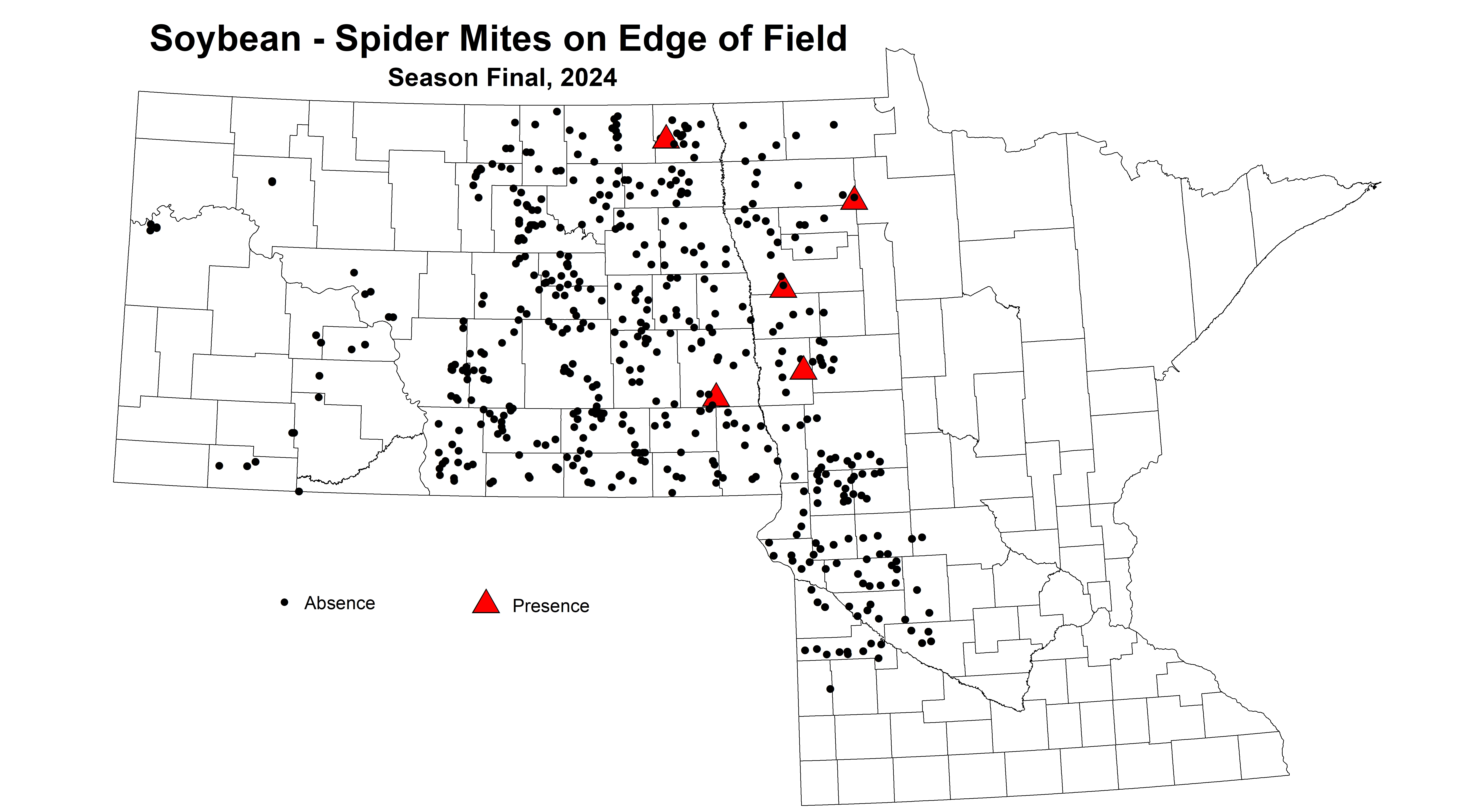 soybean spider mites on edge of field season final 2024