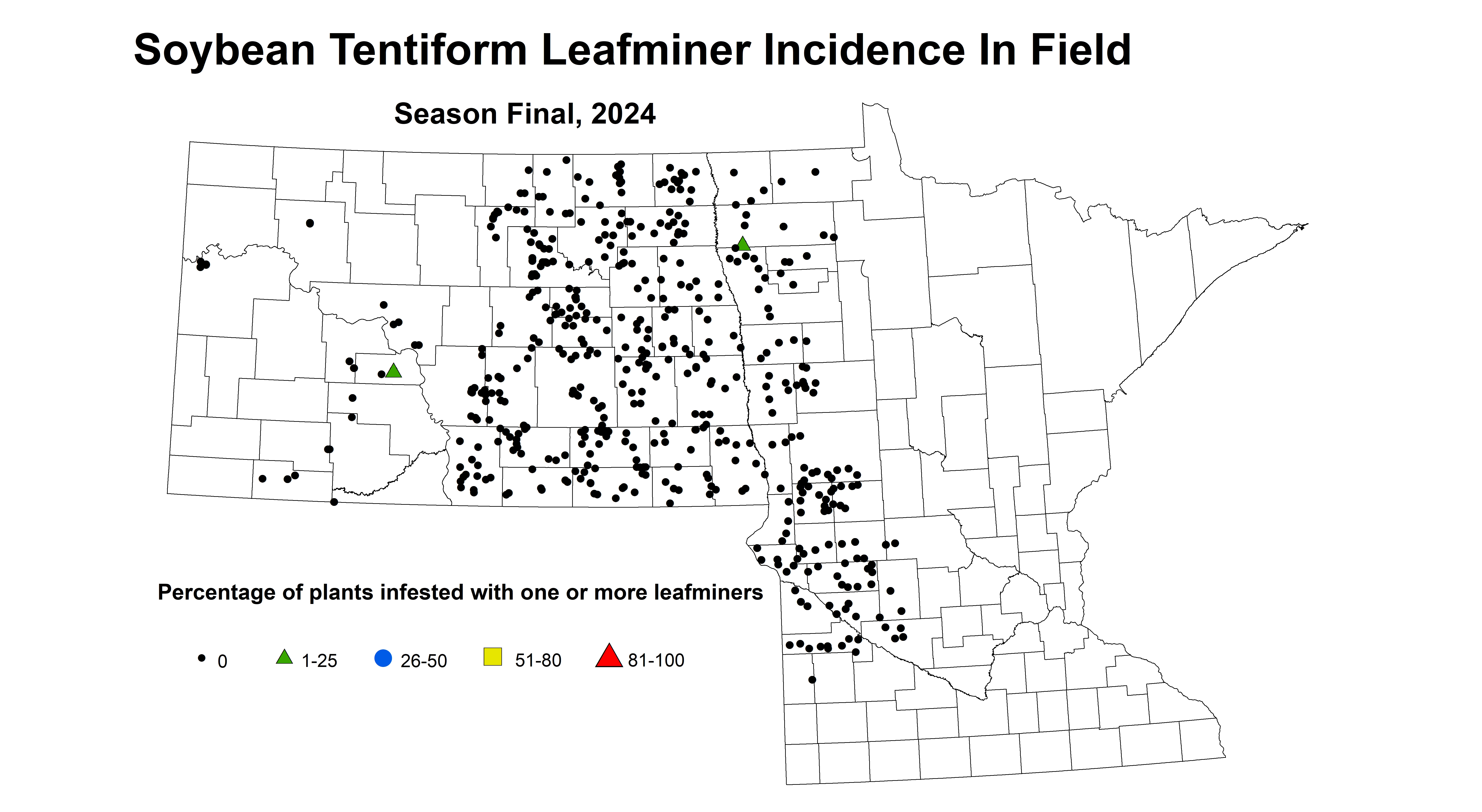 soybean tentiform leafiner incidence in field season final 2024