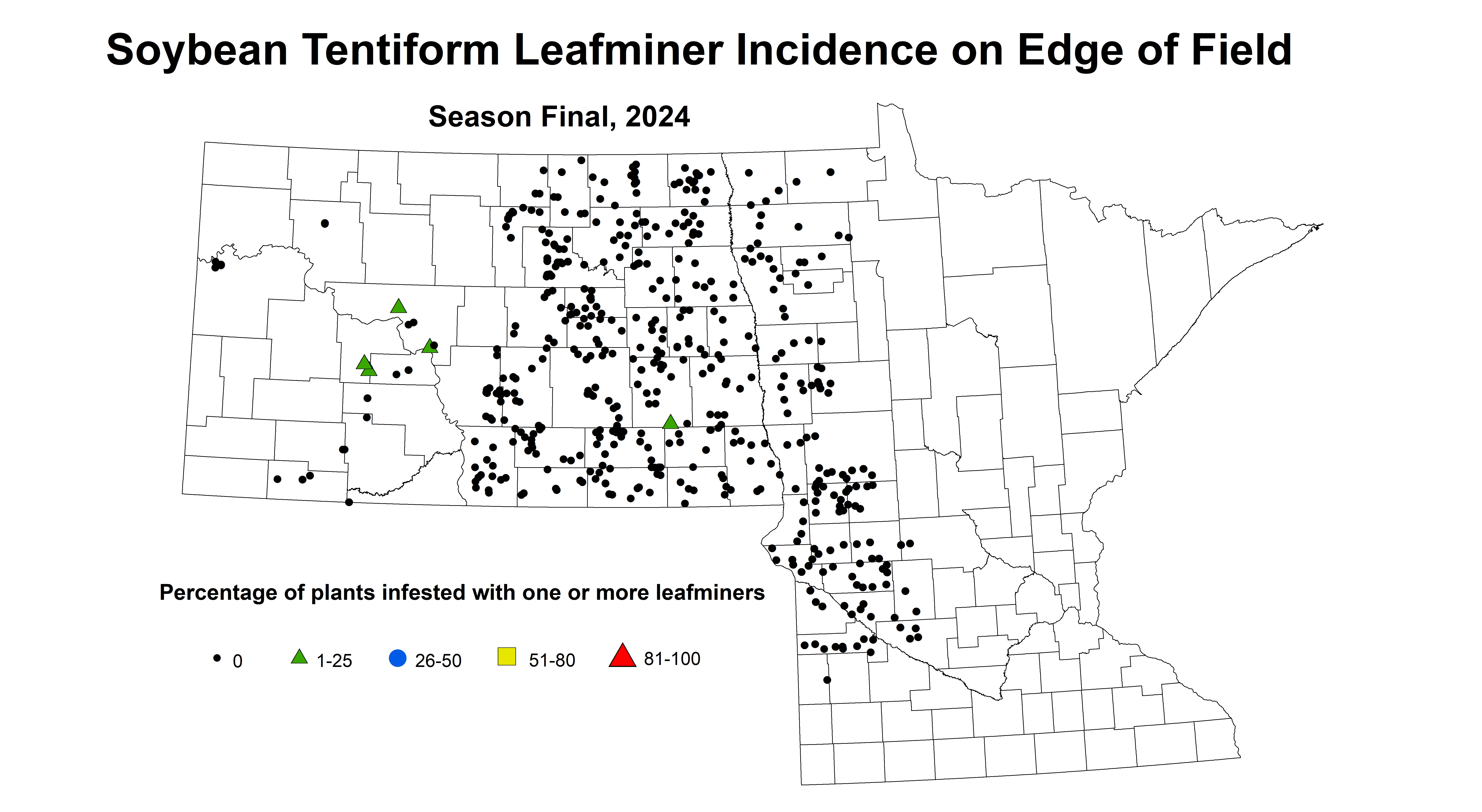 soybean tentiform leafiner incidence on edge of field season final 2024