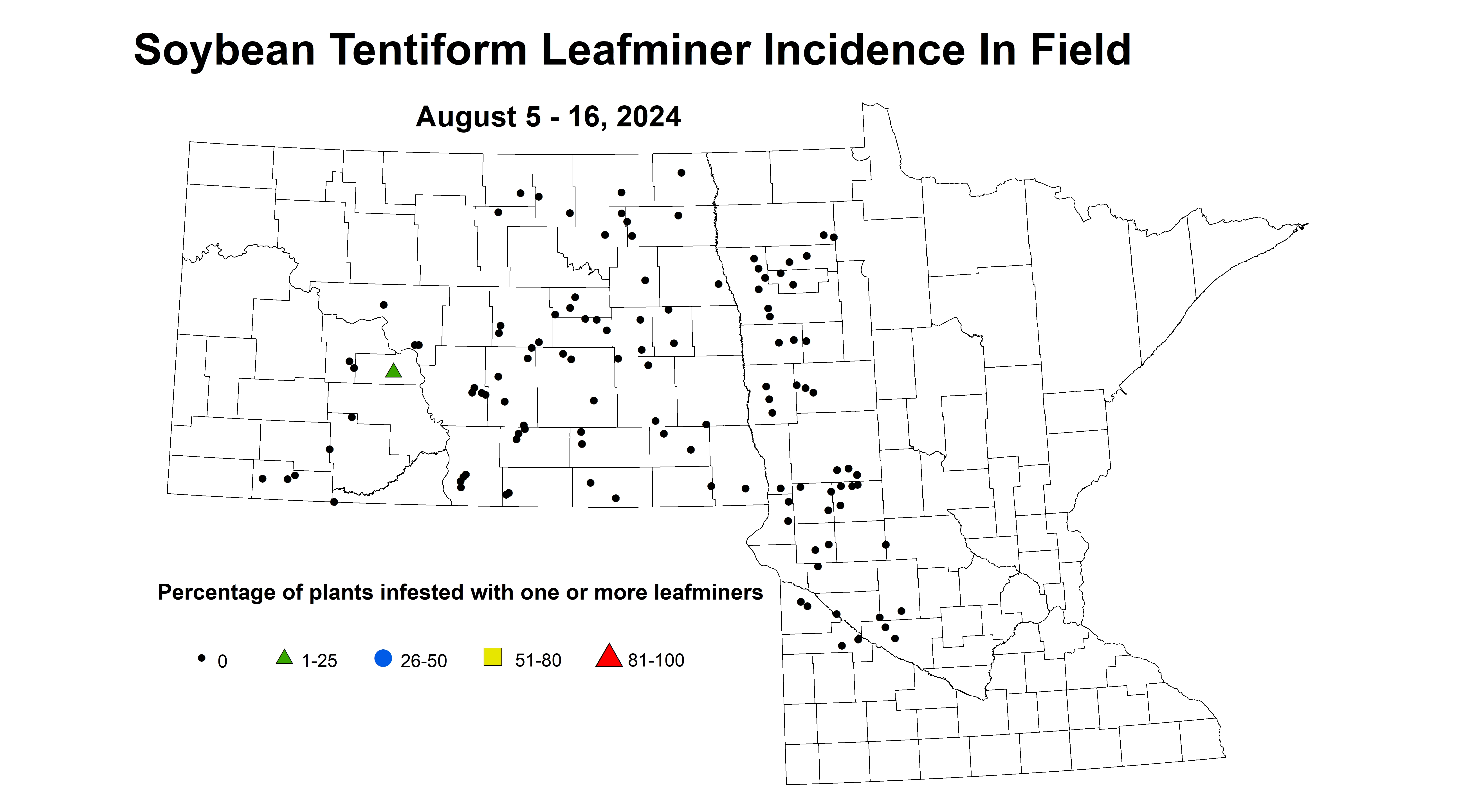 soybean tentiform leafminer incidence in field August 5-16 2024