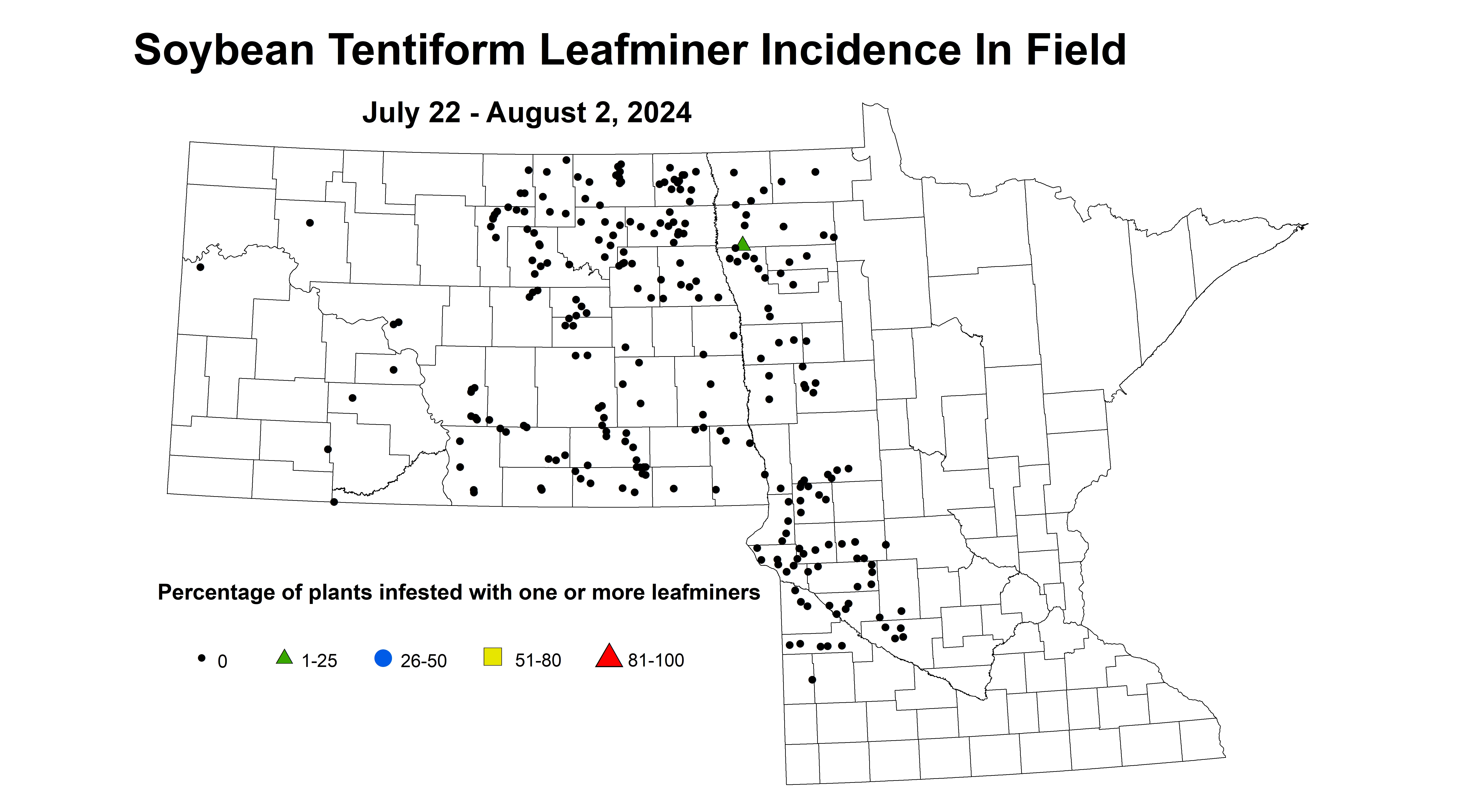 soybean tentiform leafminer incidence in field July 22 - August 2 2024