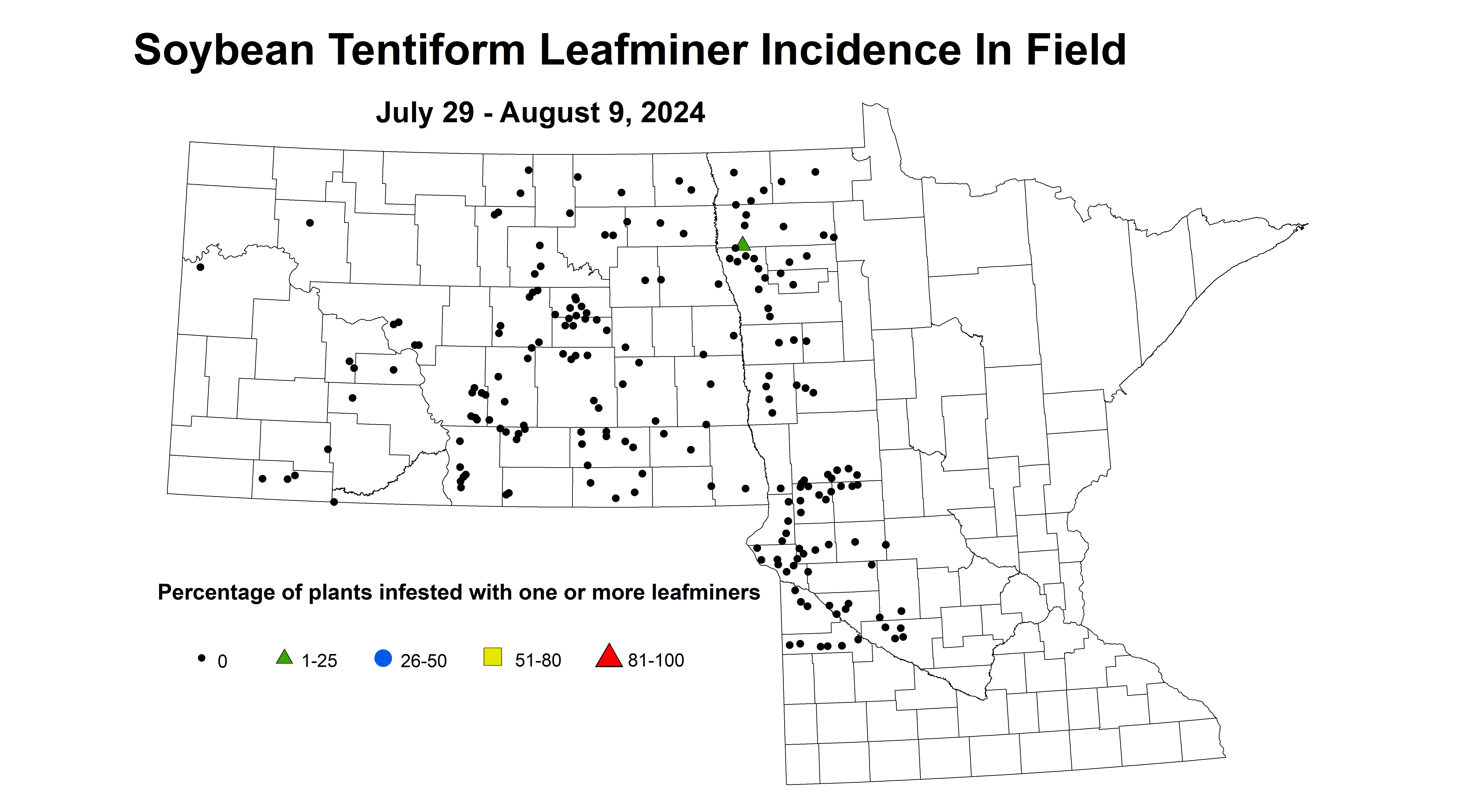 soybean tentiform leafminer incidence in field July 29 - August 9 2024