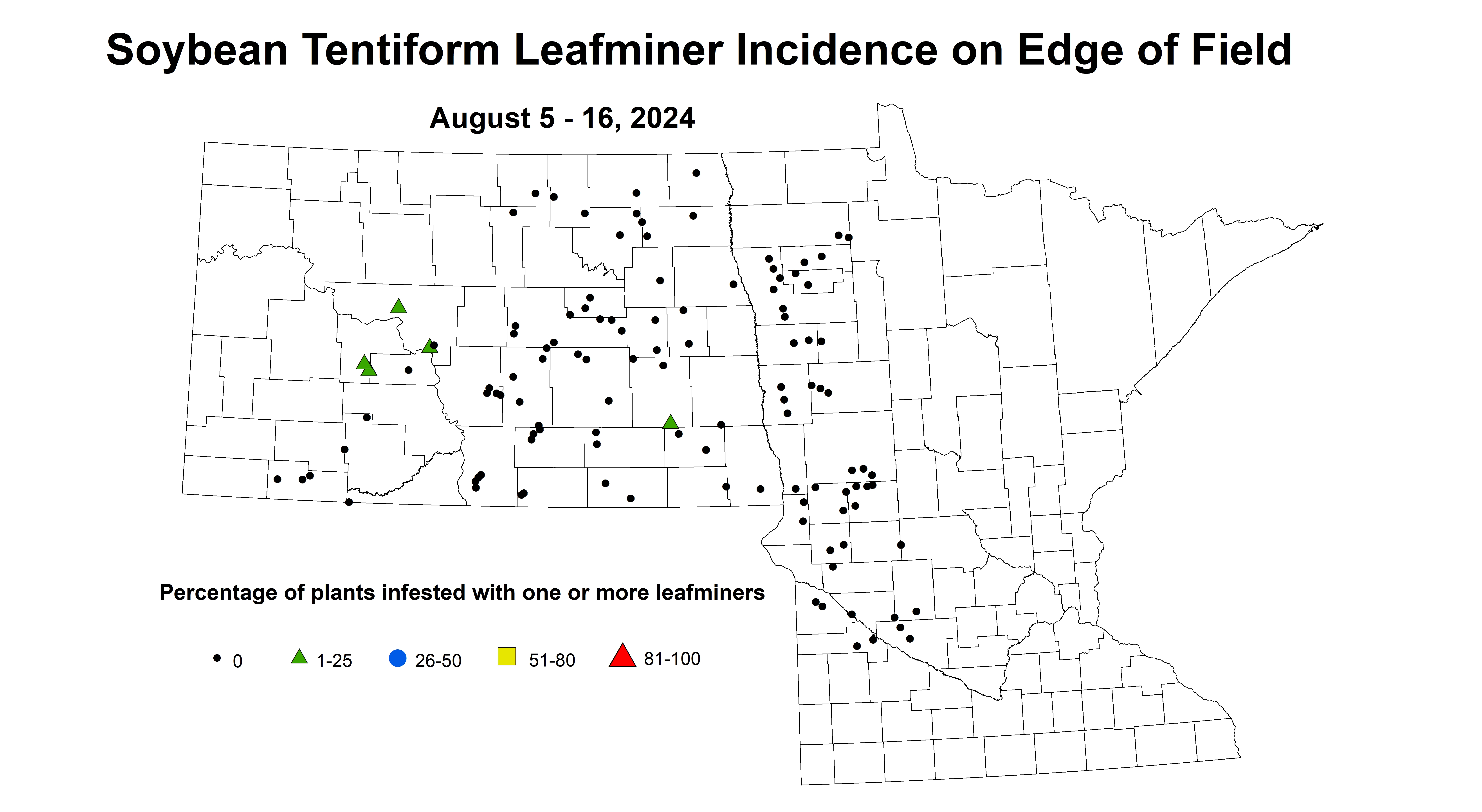 soybean tentiform leafminer incidence on edge of field August 5-16 2024