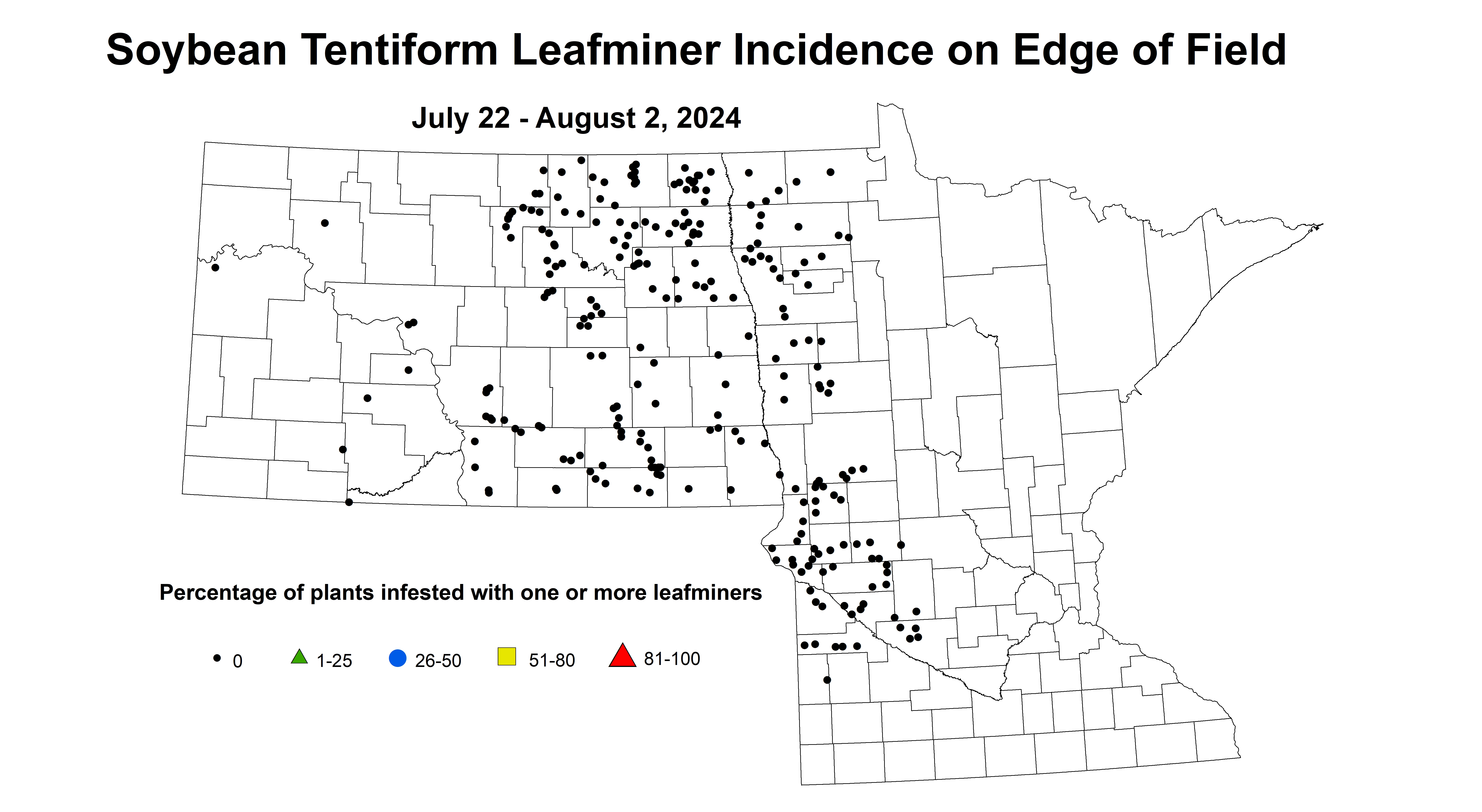 soybean tentiform leafminer incidence on edge of field July 22 - August 2 2024