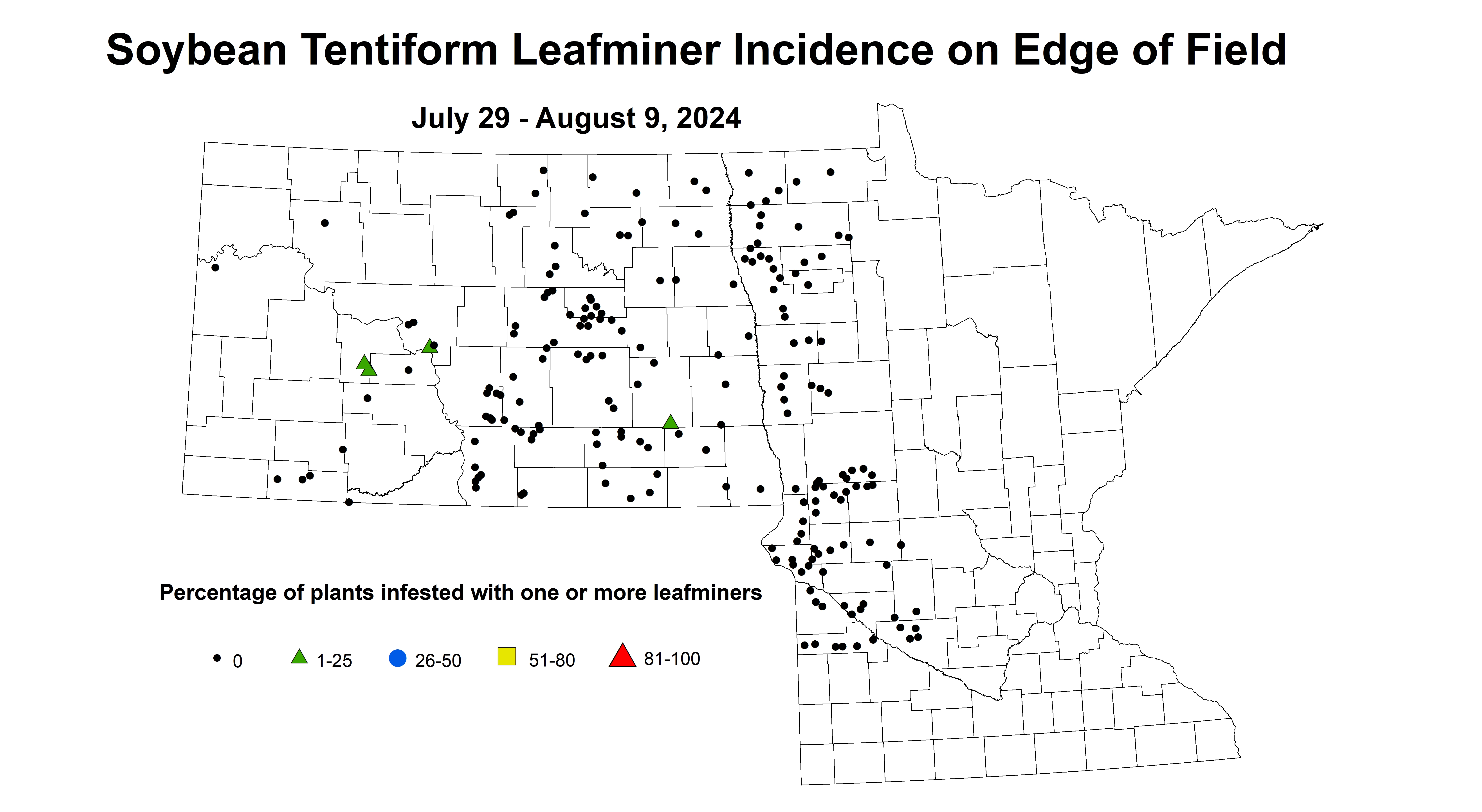 soybean tentiform leafminer incidence on edge of field July 29 - August 9 2024