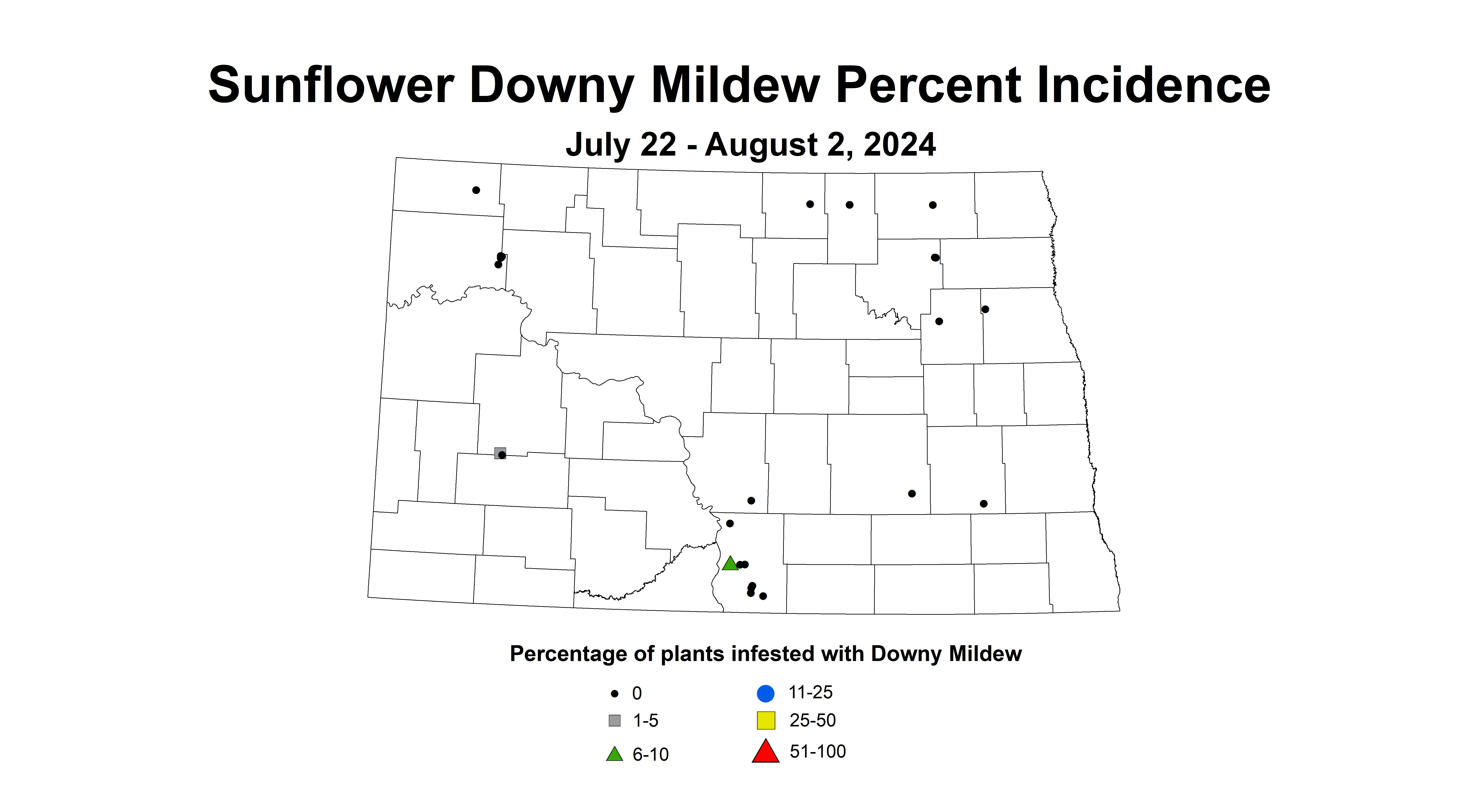 sunflower downy mildew July 22 - August 2 2024