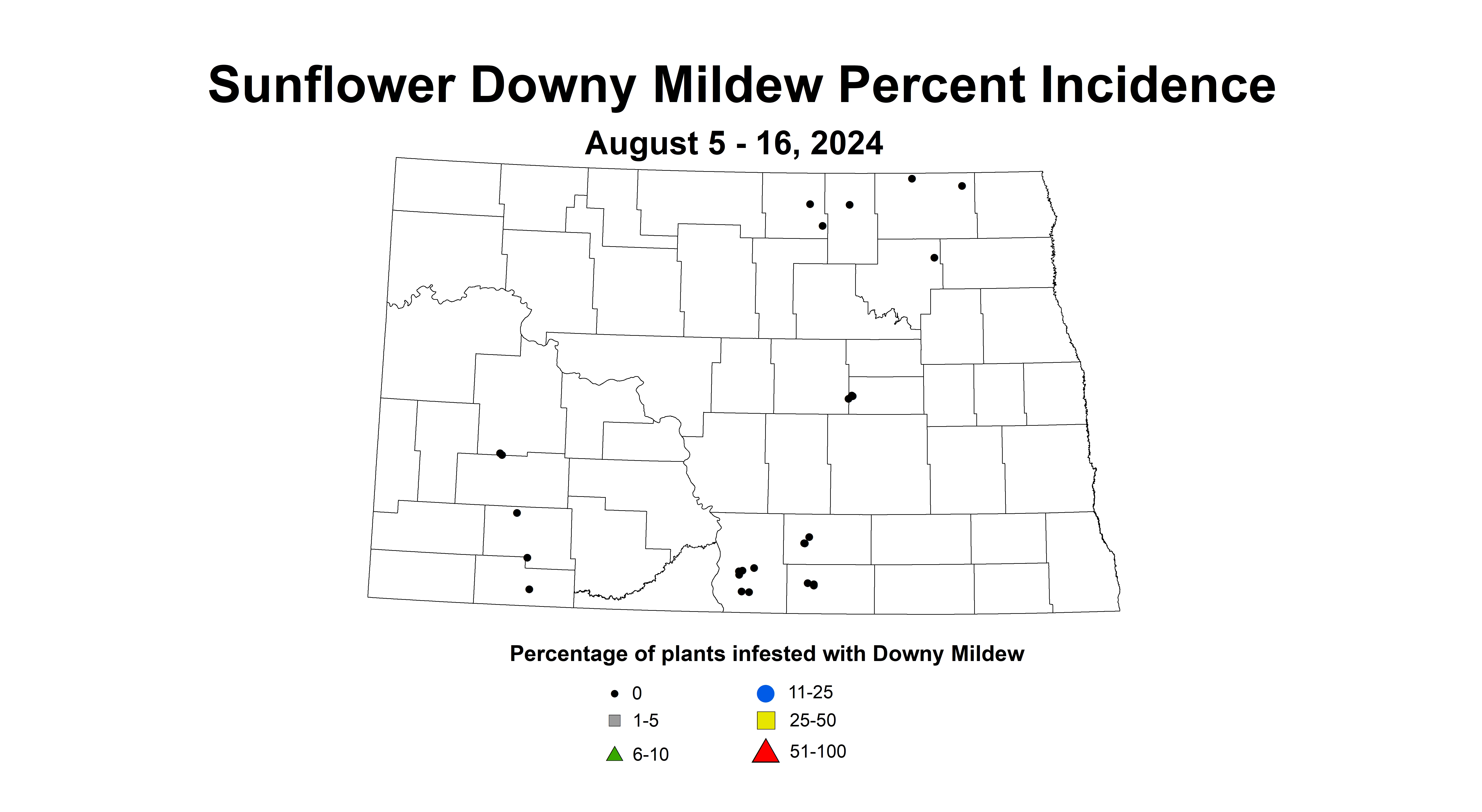 sunflower downy mildew incidence August 5-16 2024