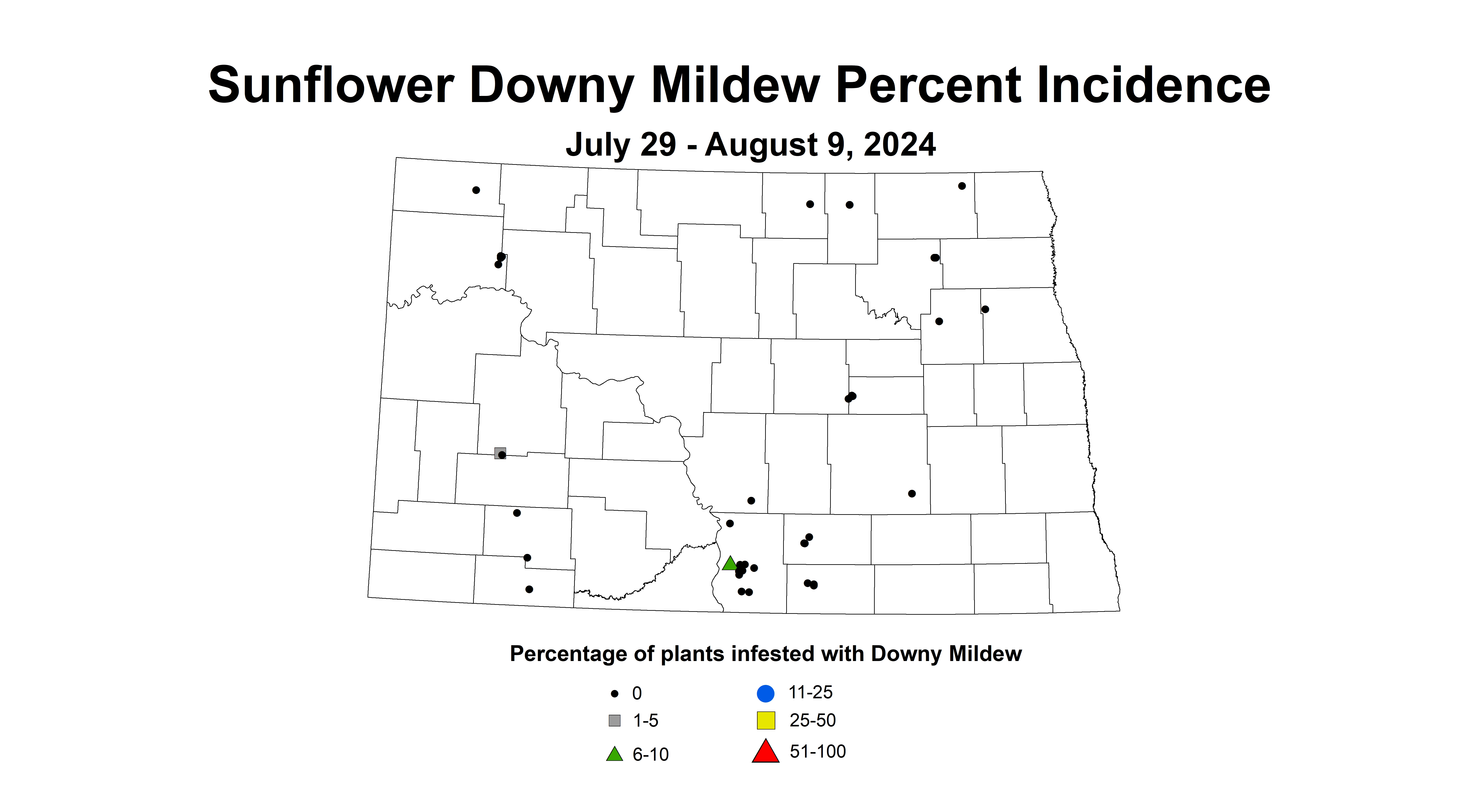 sunflower downy mildew incidence July 29 - August 9 2024