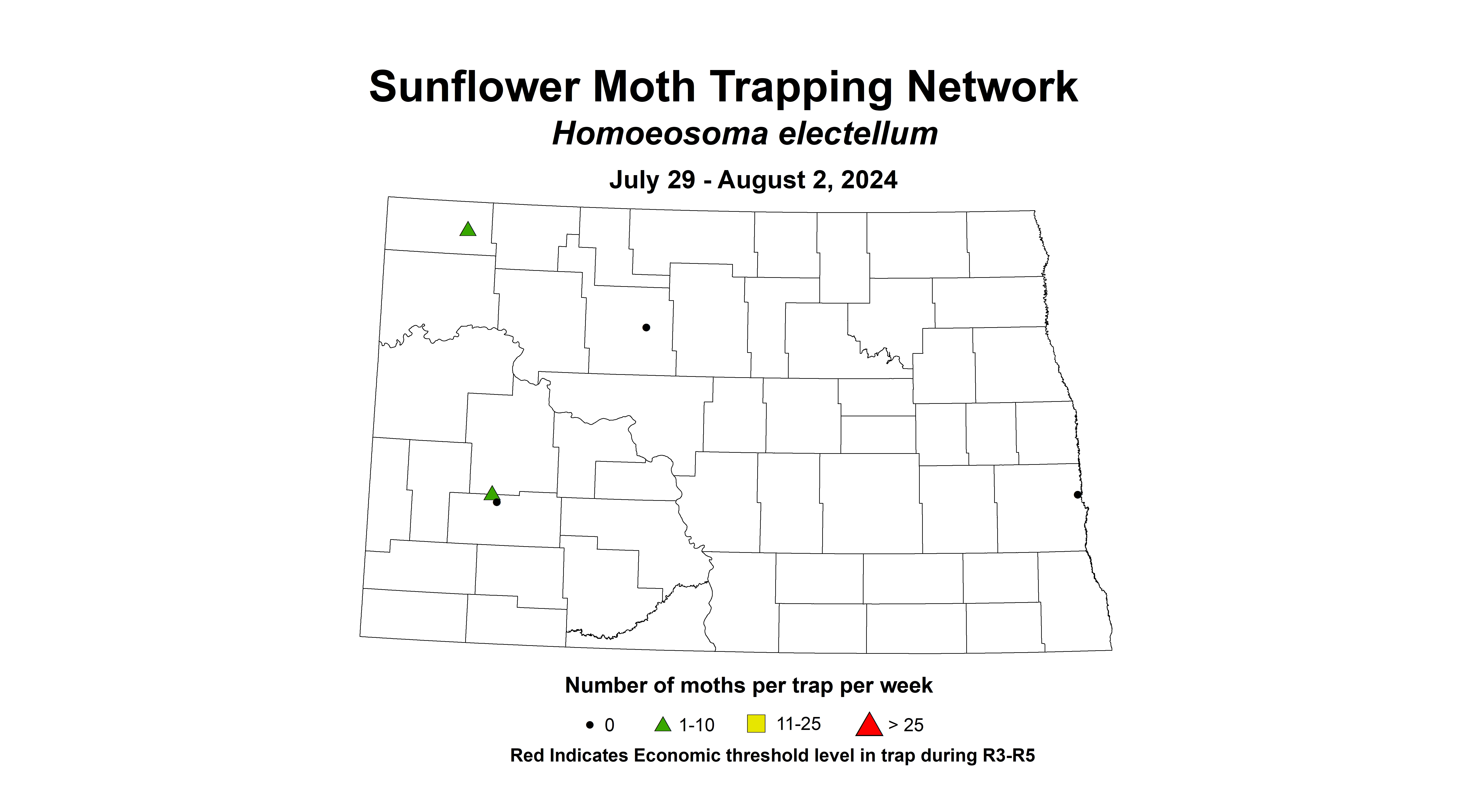 sunflower moth July 29 - August 2 2024