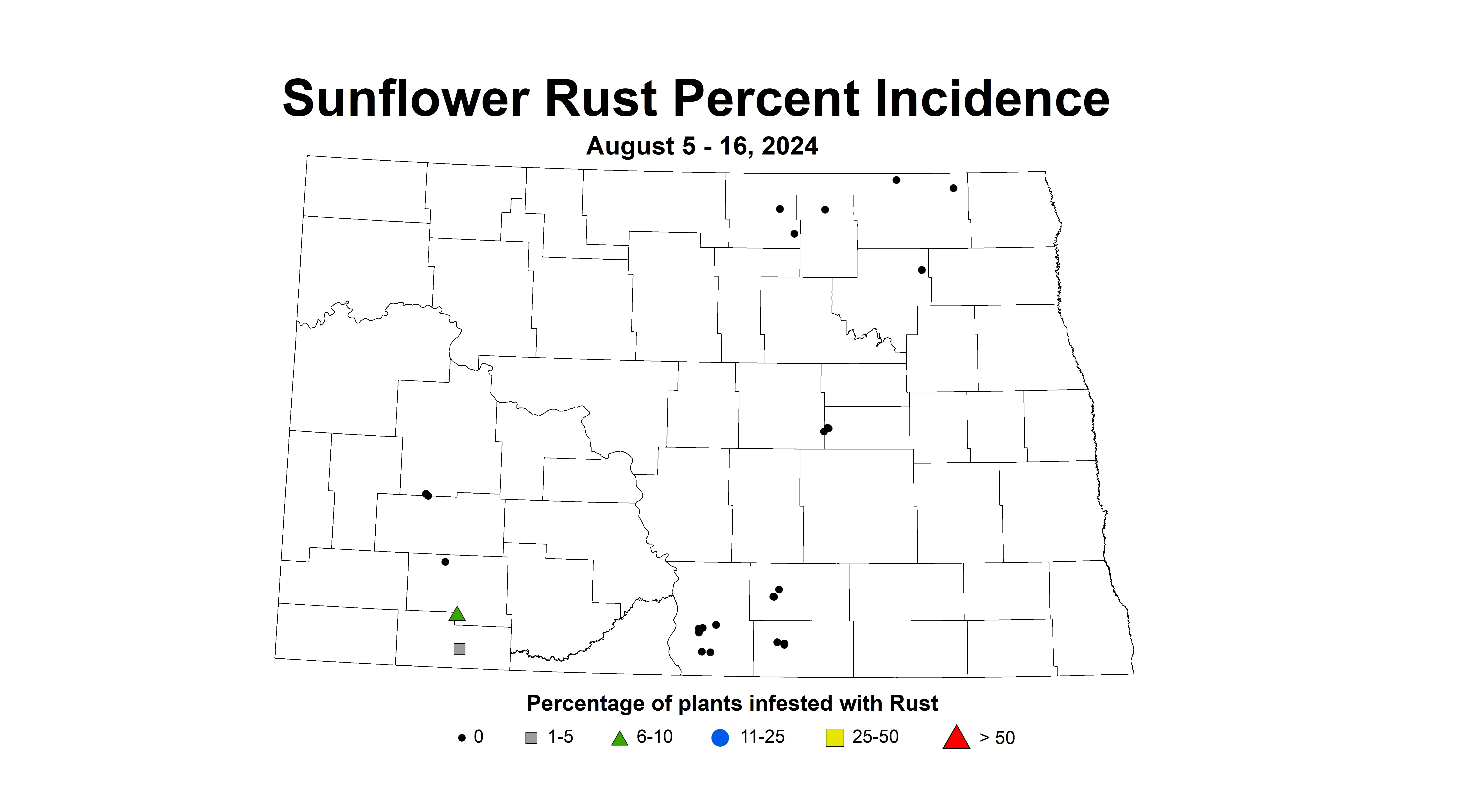 sunflower rust incidence August 5-16 2024