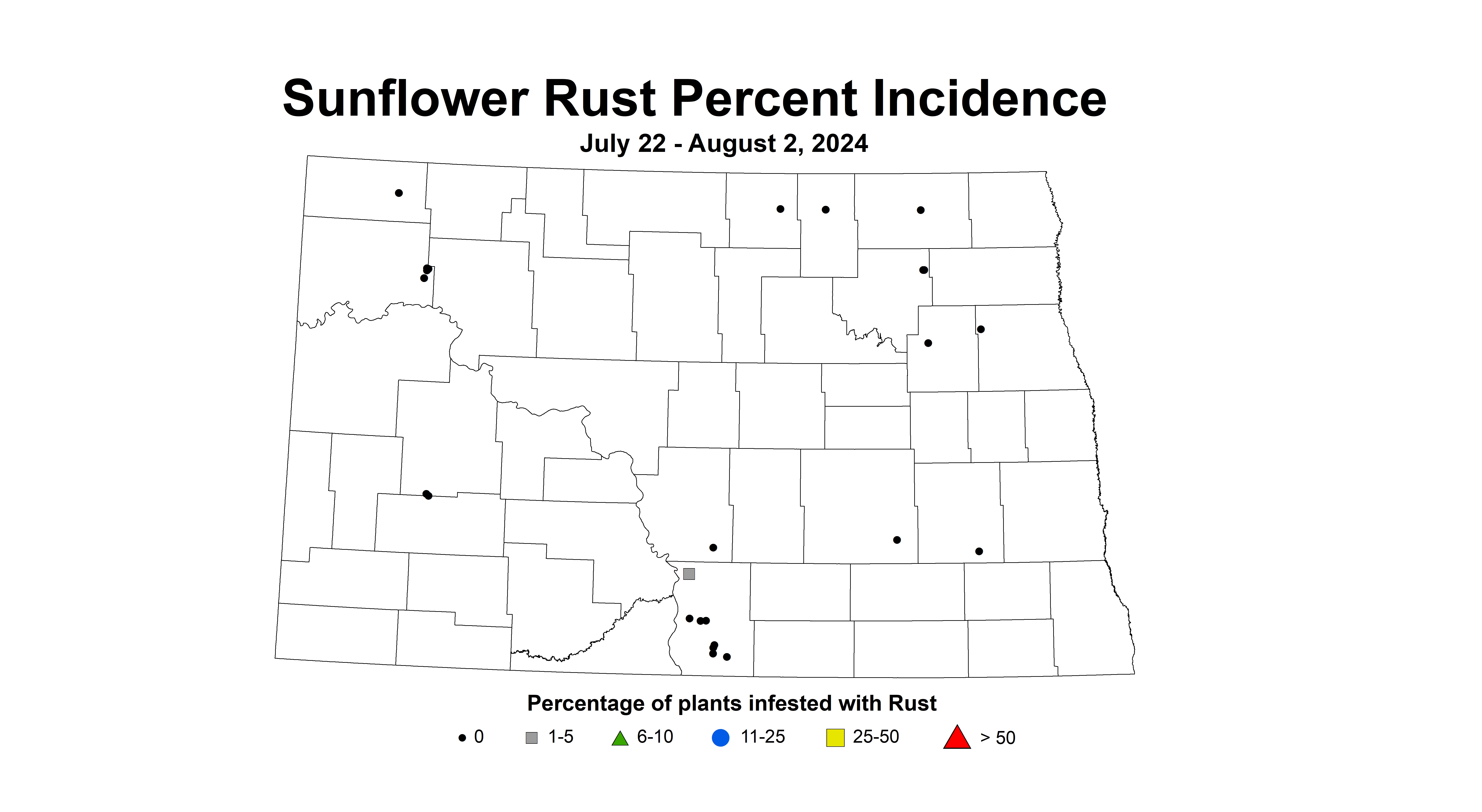 sunflower rust incidence July 22 - August 2 2024