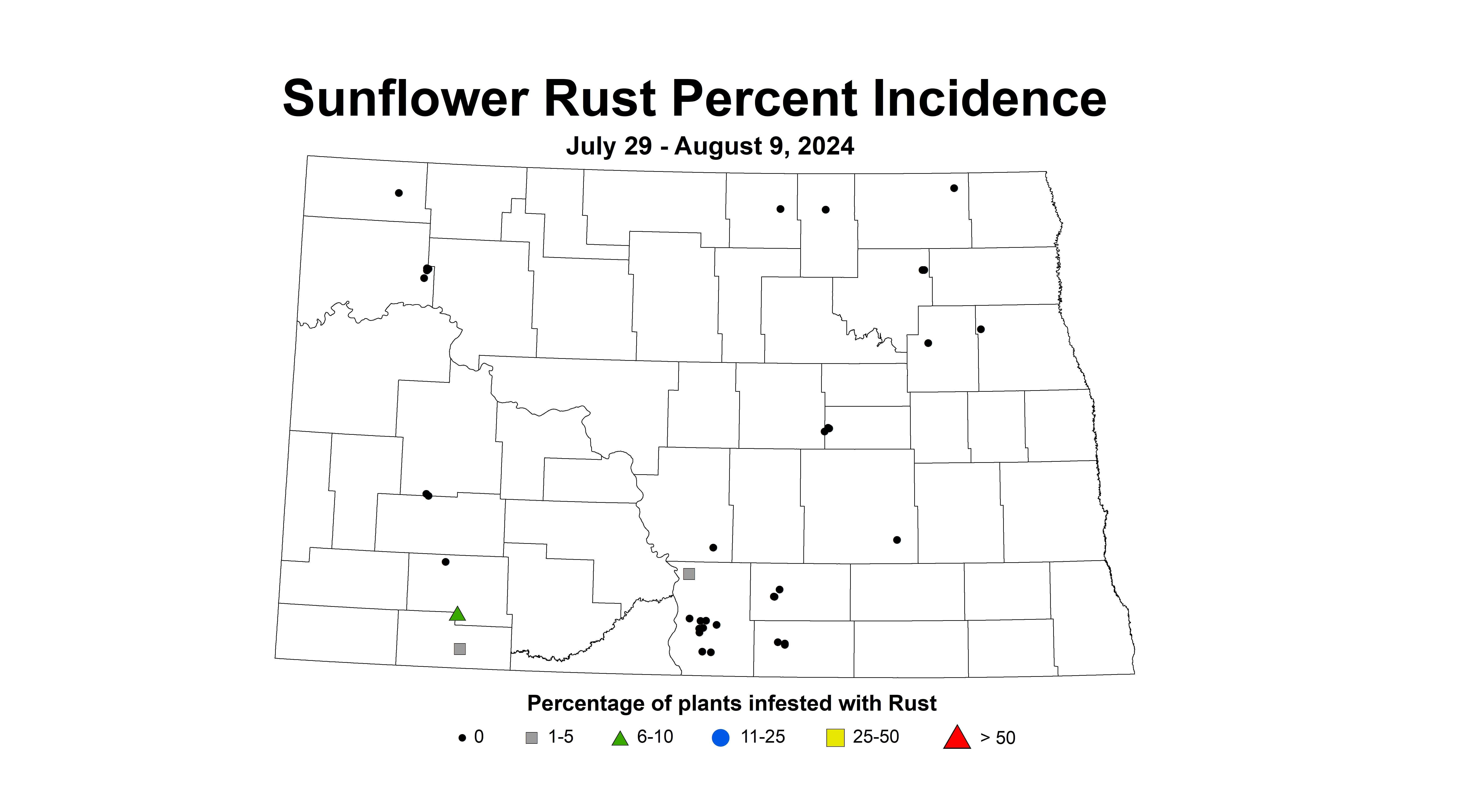 sunflower rust incidence July 29 - August 9 2024